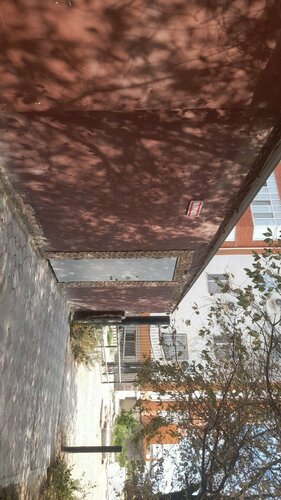 Порно қара балапандар камминг