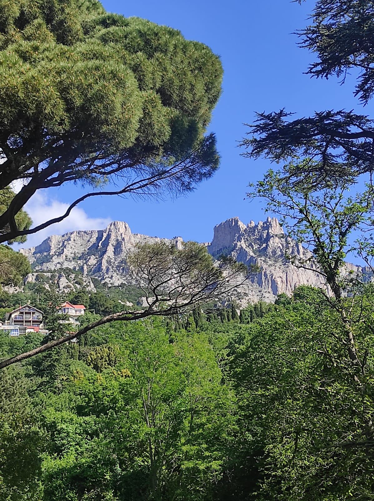 Фото Морской Бриз