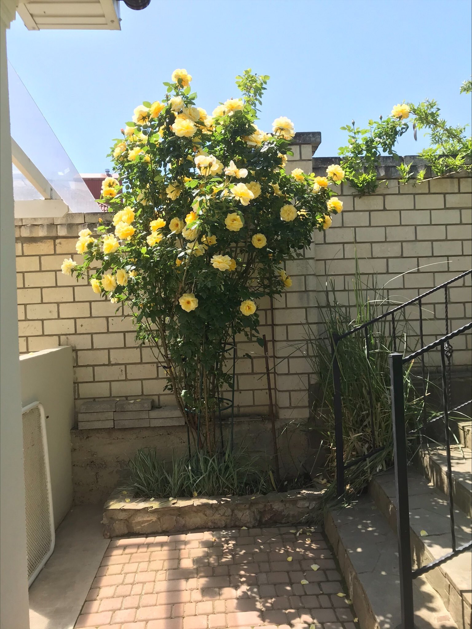 Фото Вилла Грин