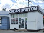 Okean tsvetov (Michurinskaya Street, 141Б), flower shop