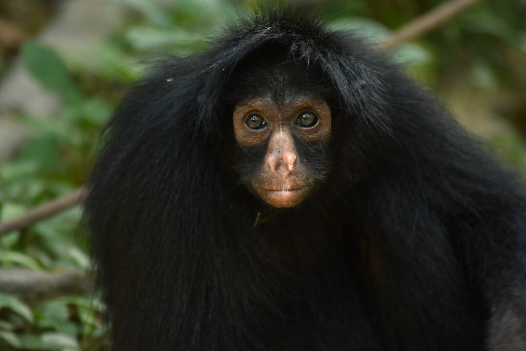 Landmark, attraction Community Inti Wara Yassi, Cochabamba, photo