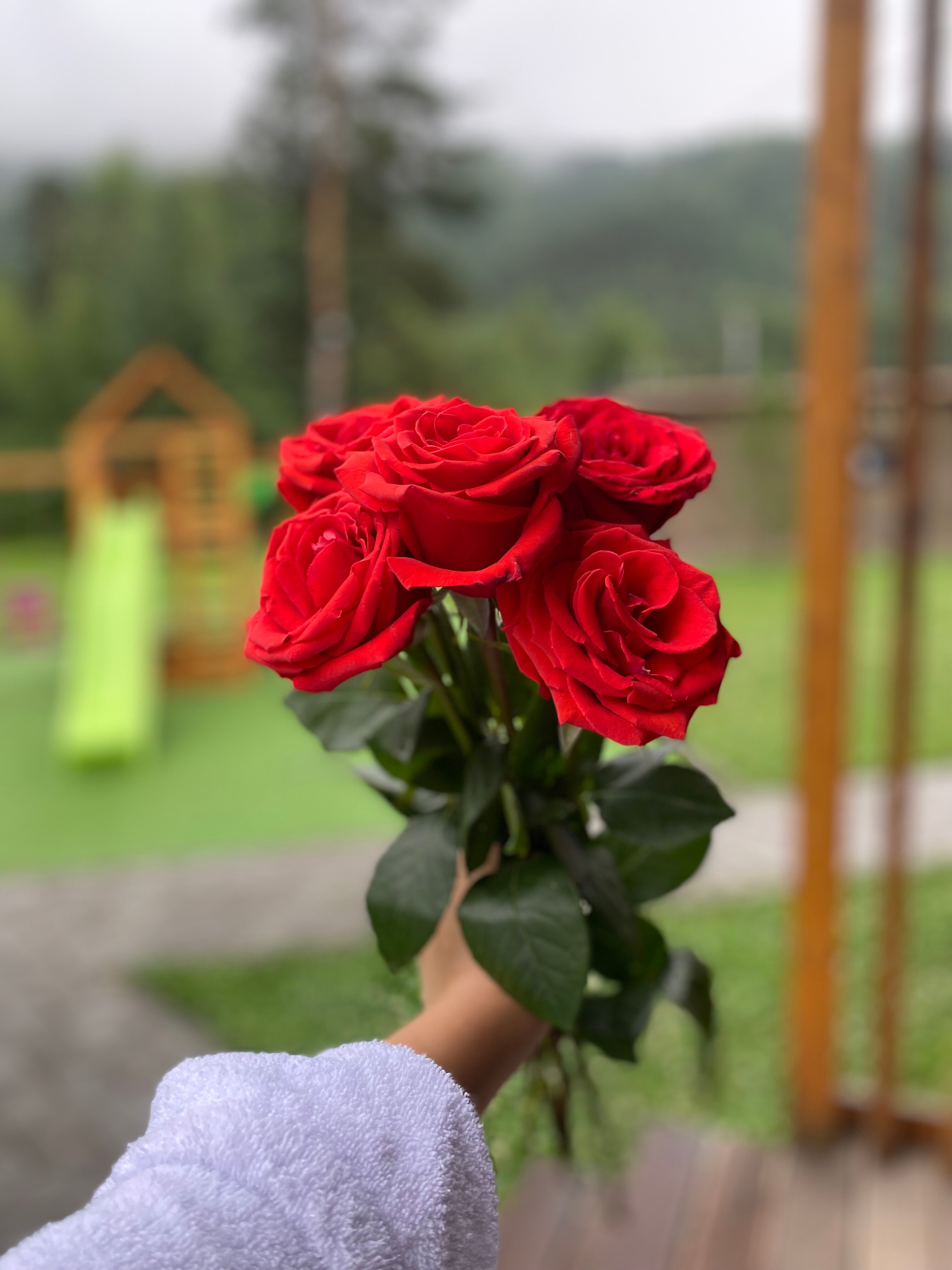 Фото Алтай-Крафт