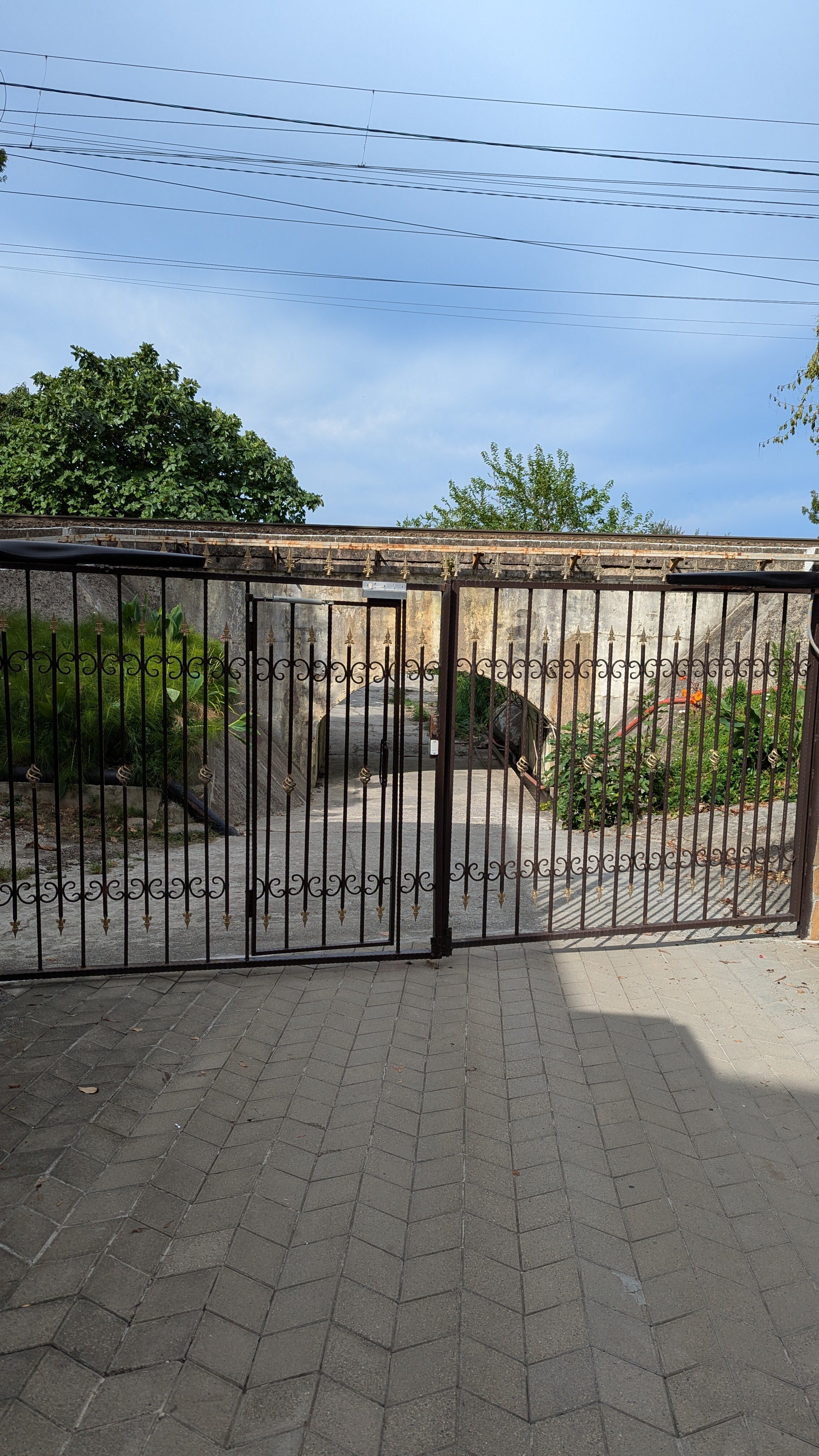 Фото Максим Парк-Лоо