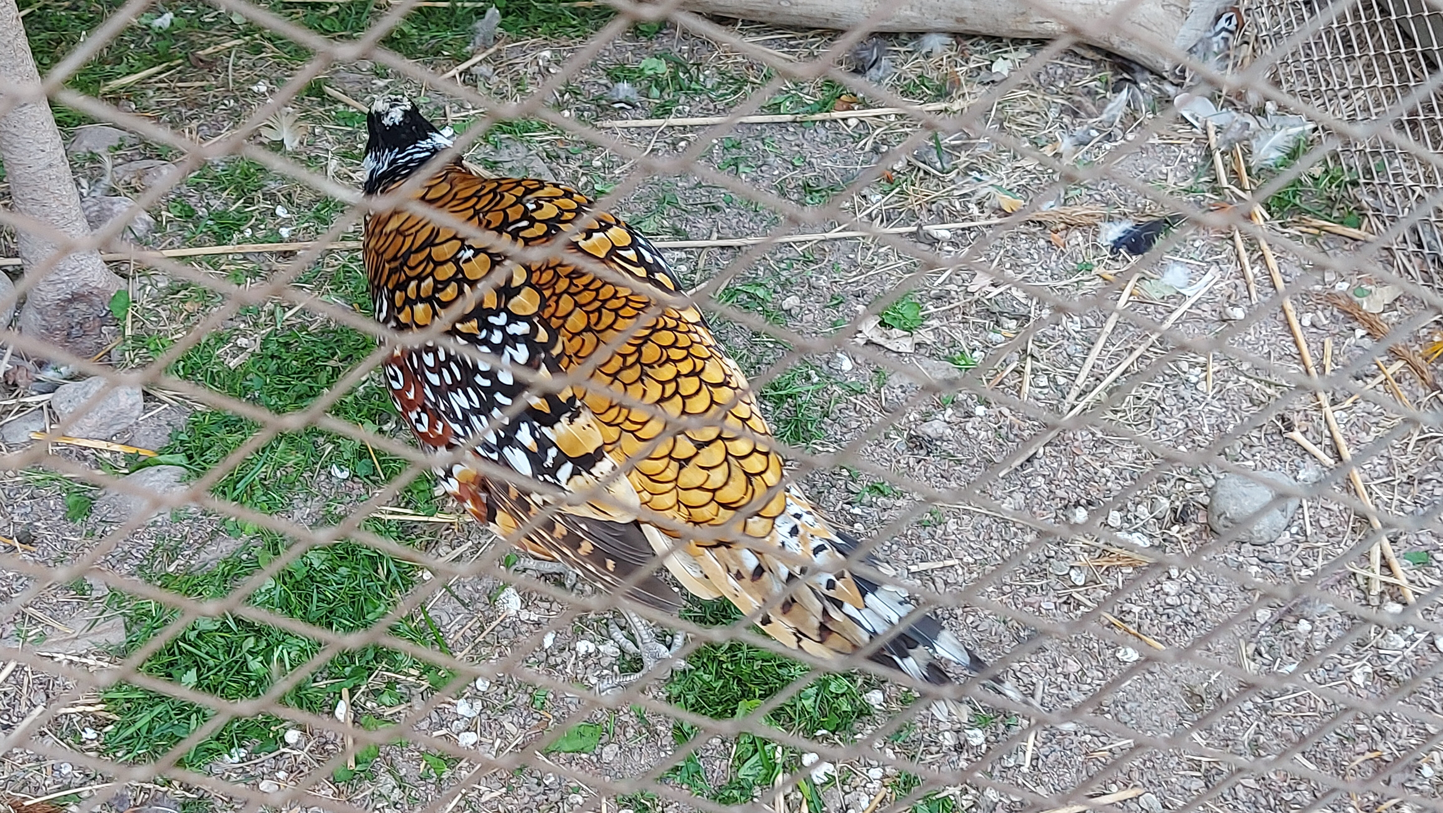 Фото Я-Отель