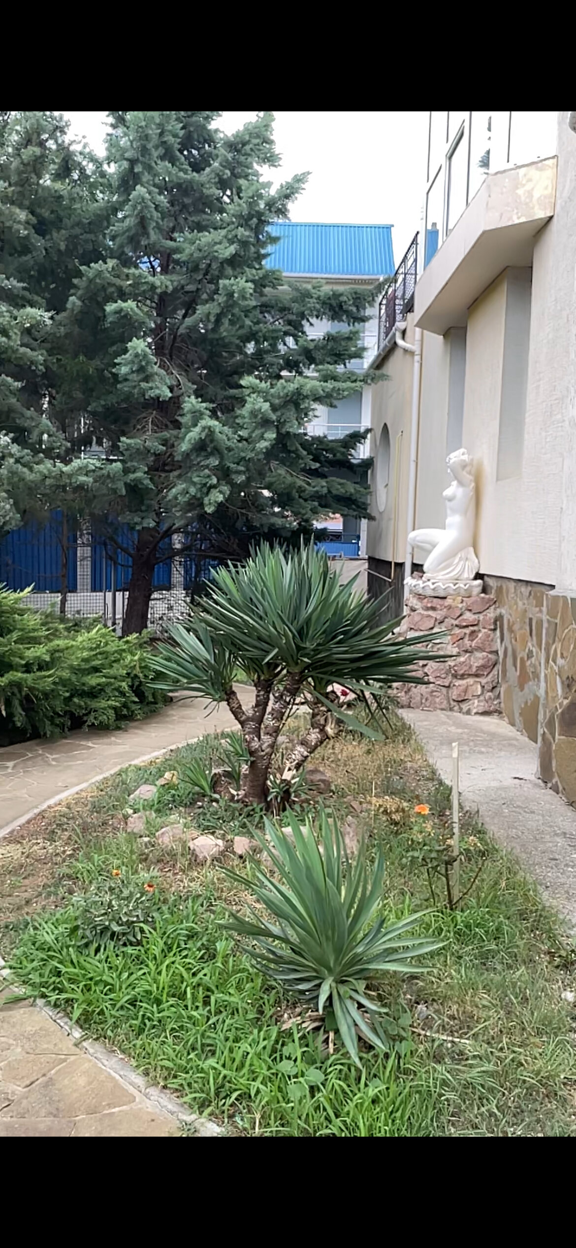 Фото Дом друзей