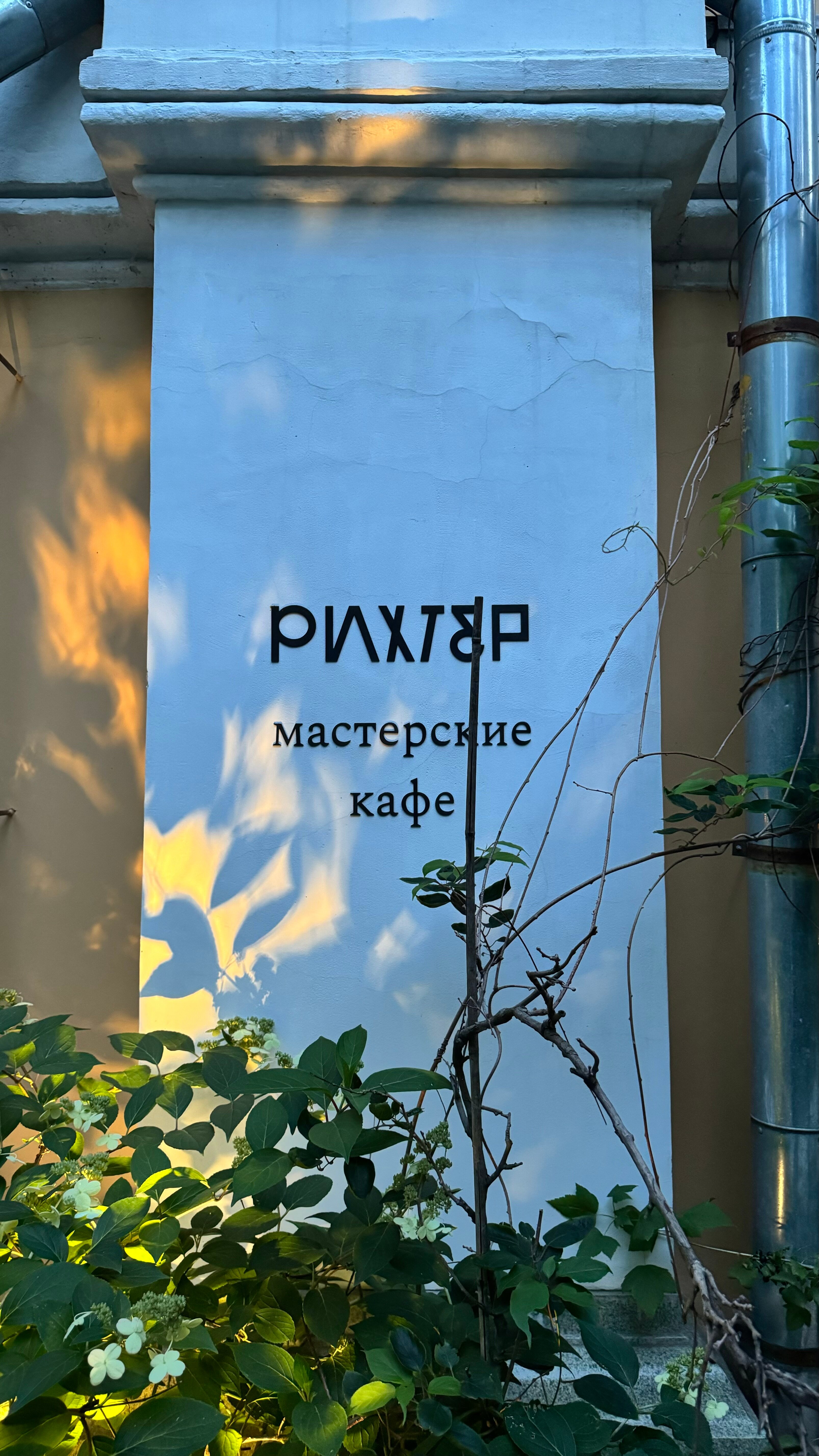 Фото Рихтер