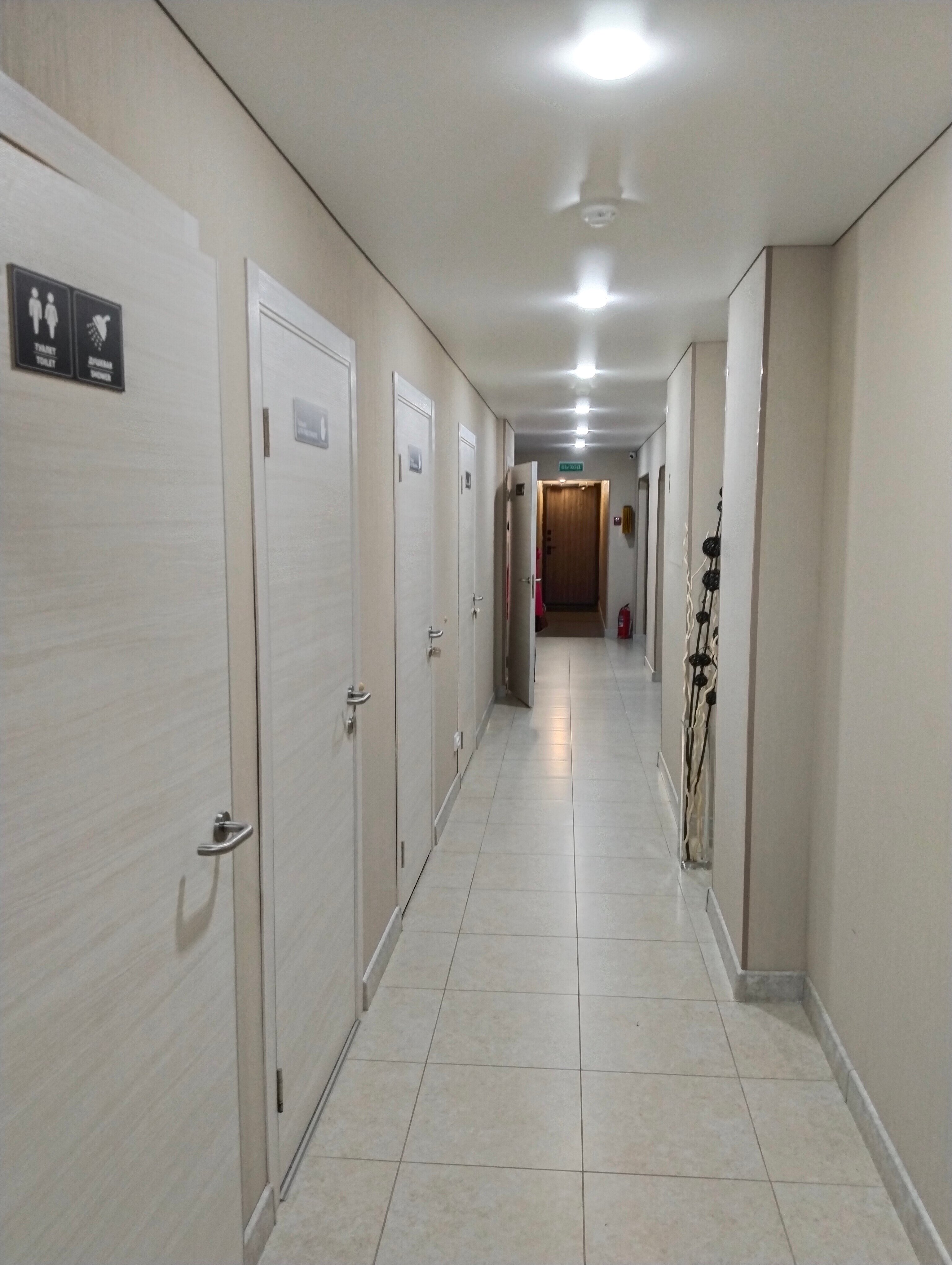 Фото Колибри