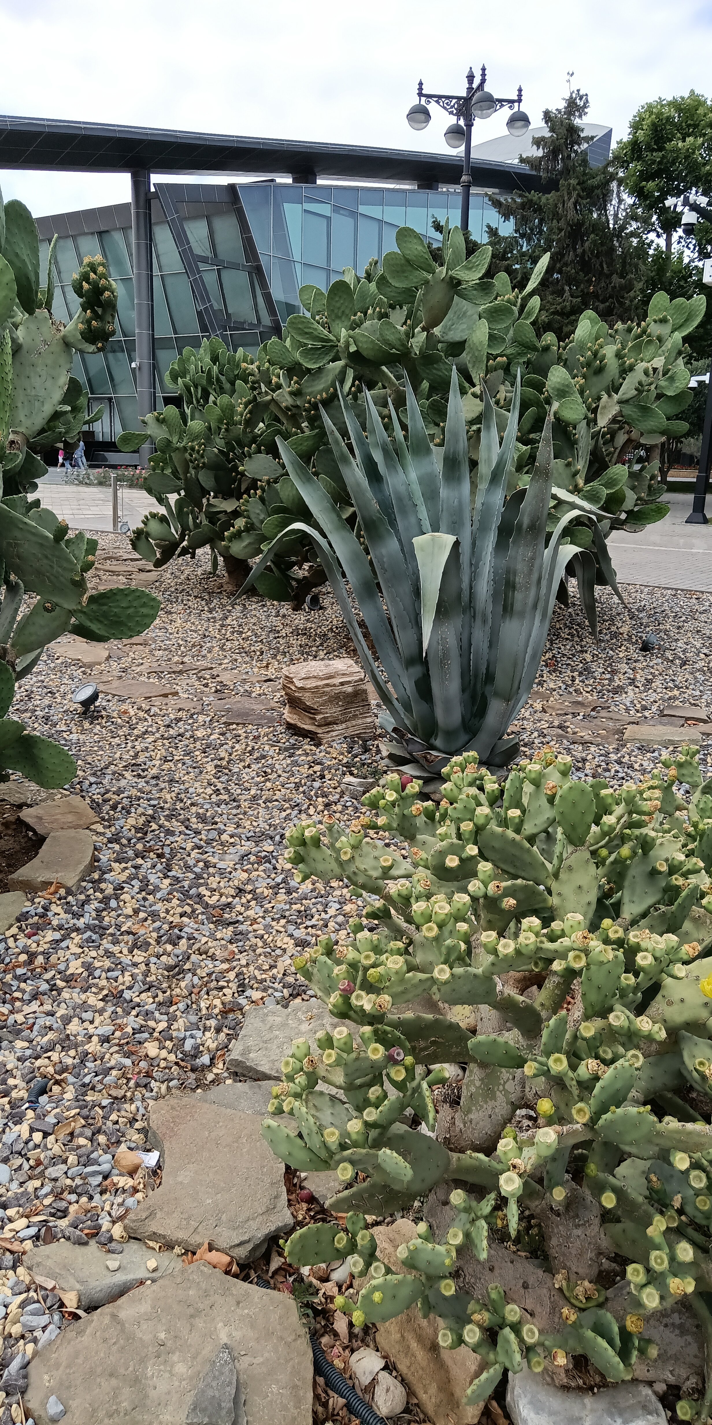 Фото Royal Antique Boutique Hotel