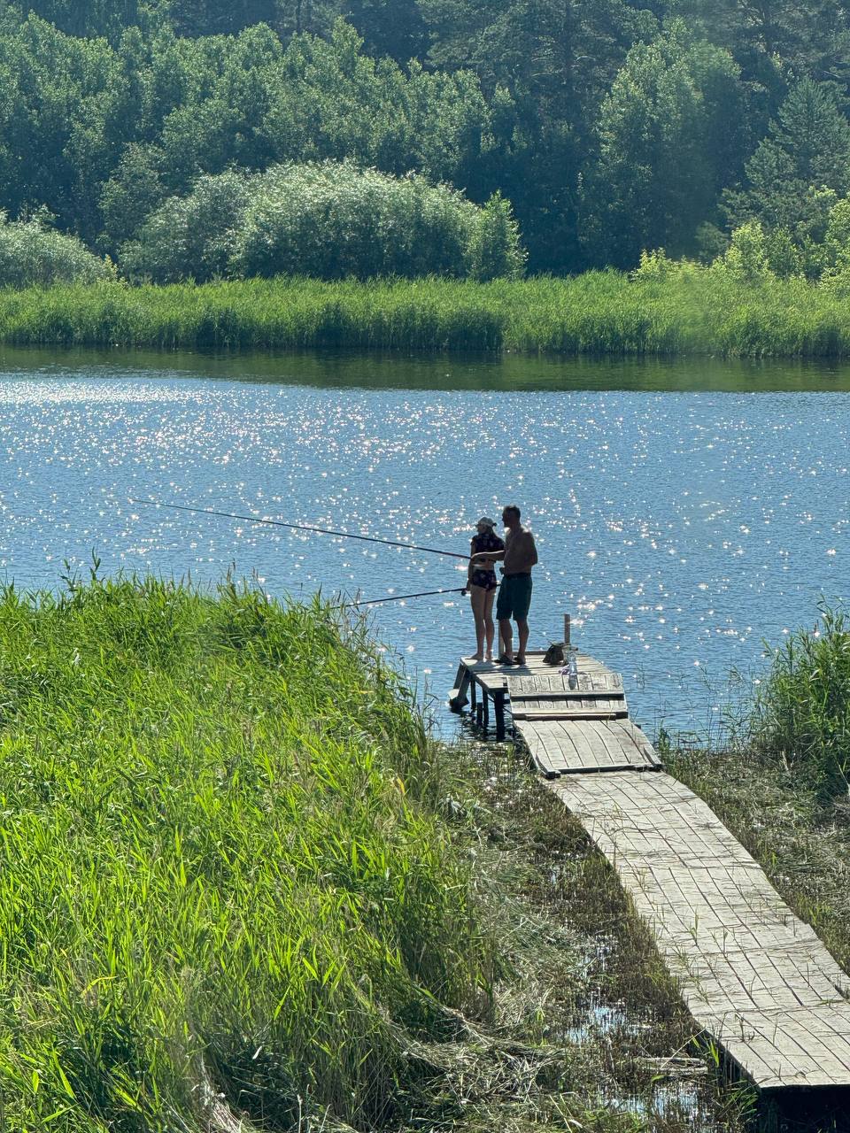 Фото Усадьба Гусли: Кедр-2
