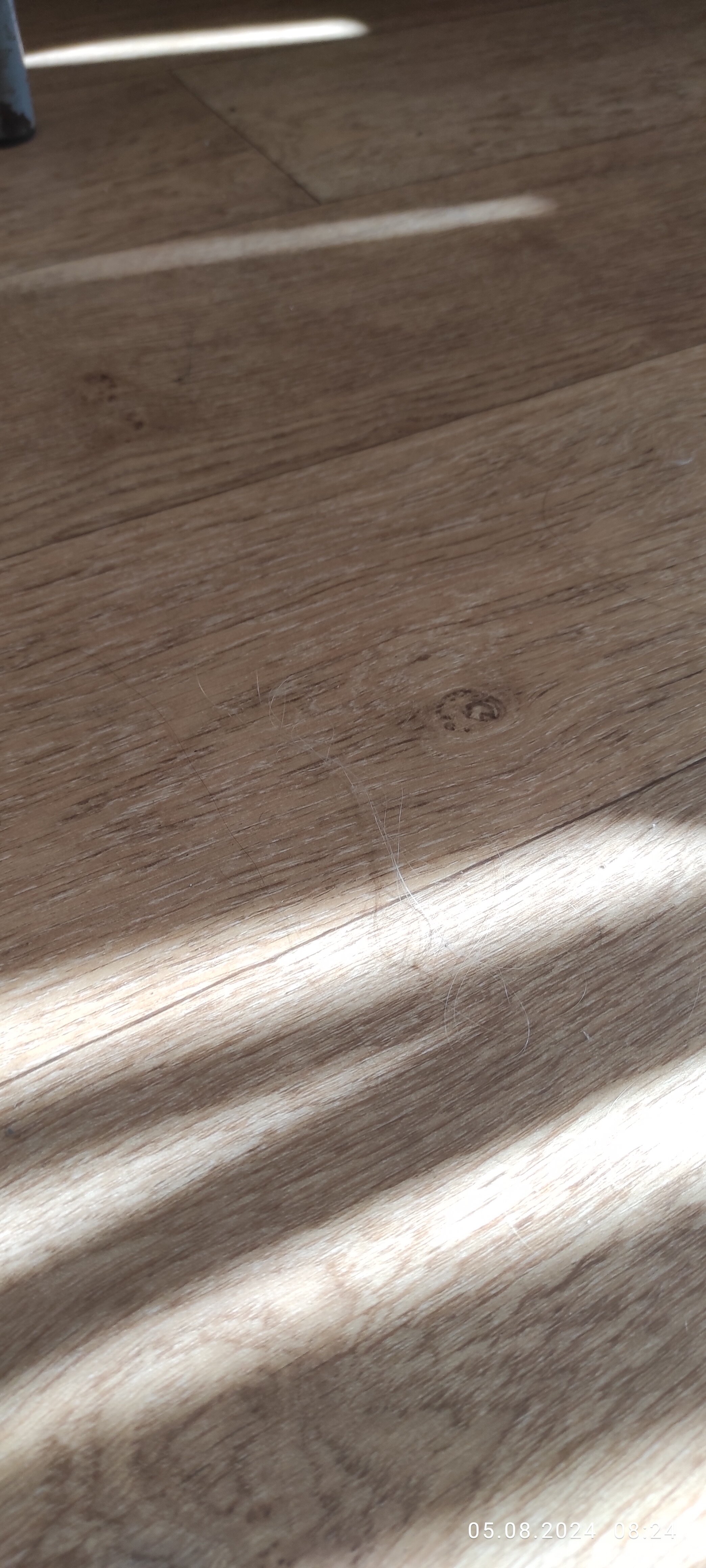 Фото Виктория