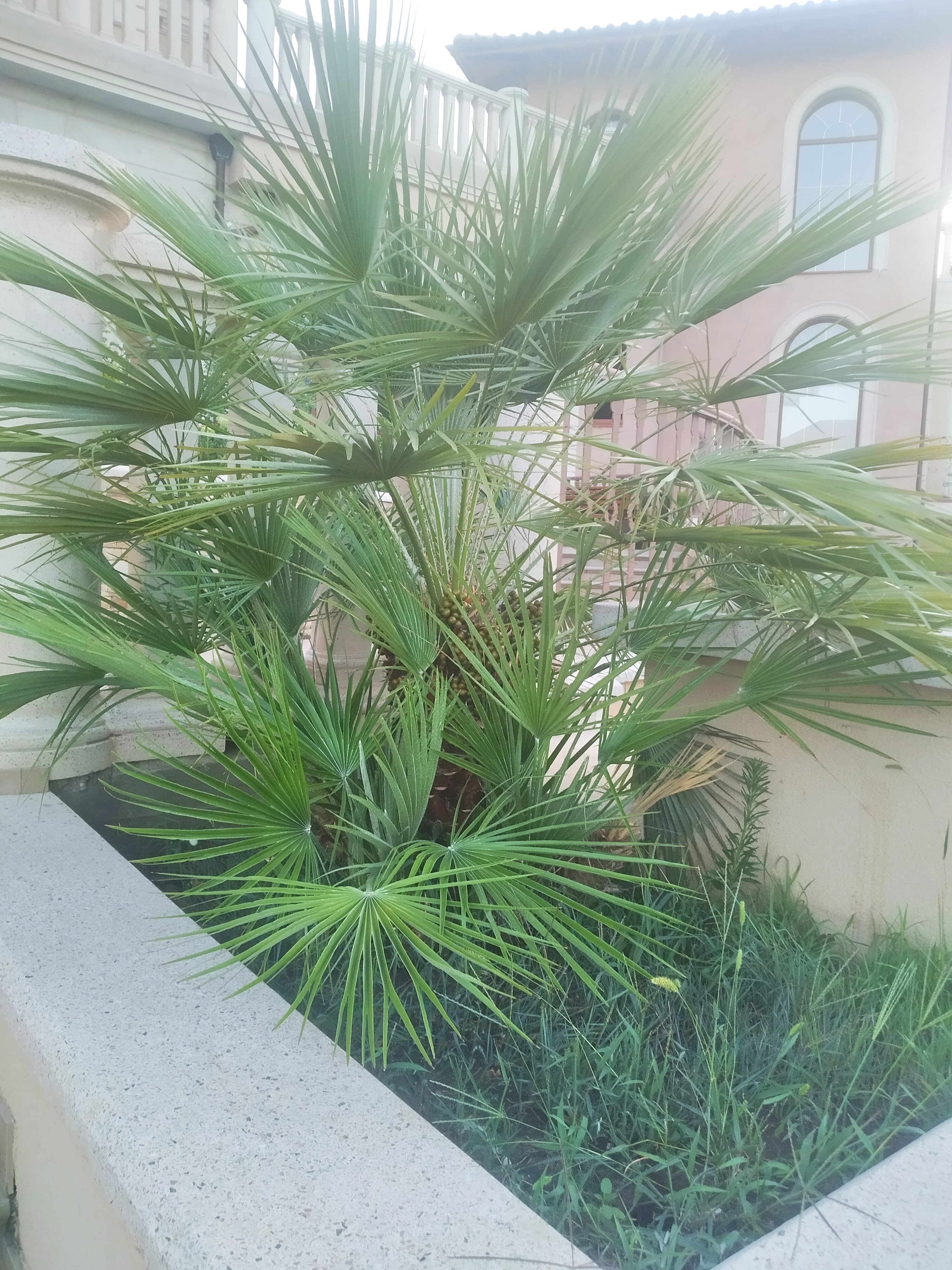 Фото Вилла Балгатура