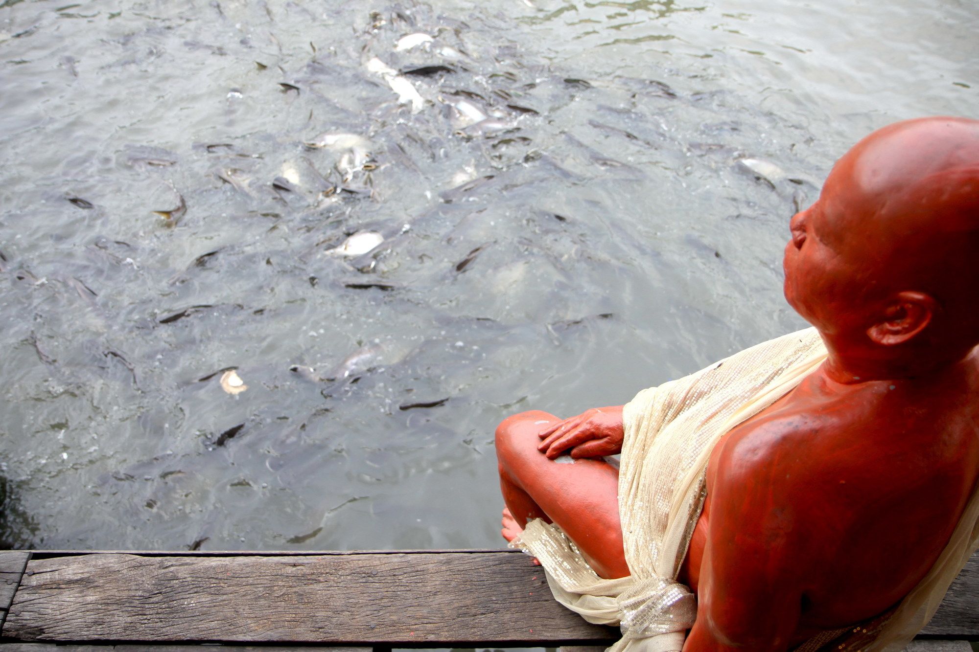 Фото Bang Luang House
