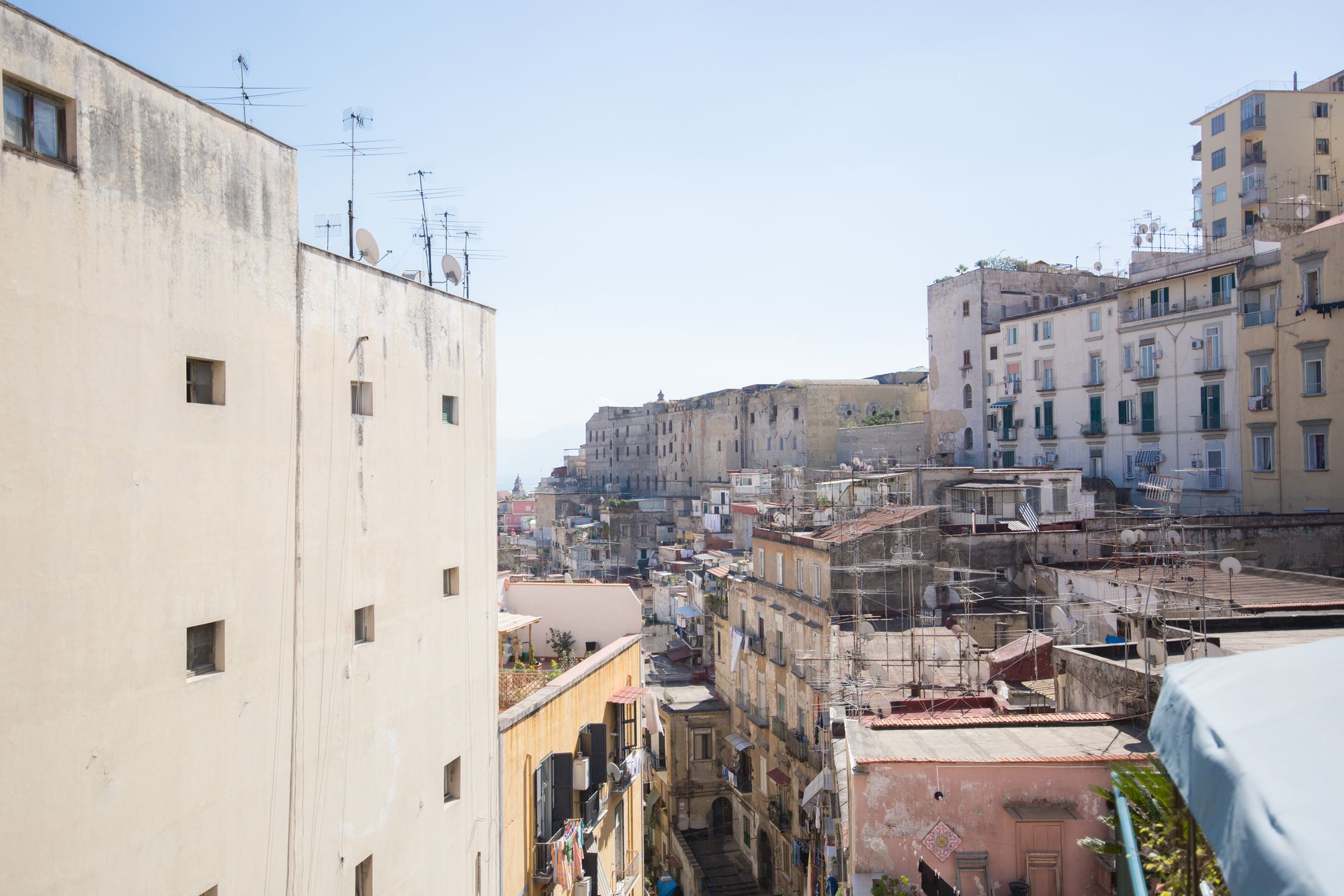 Фото B&b Phoenix