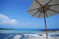 Фото Tubtim Resort