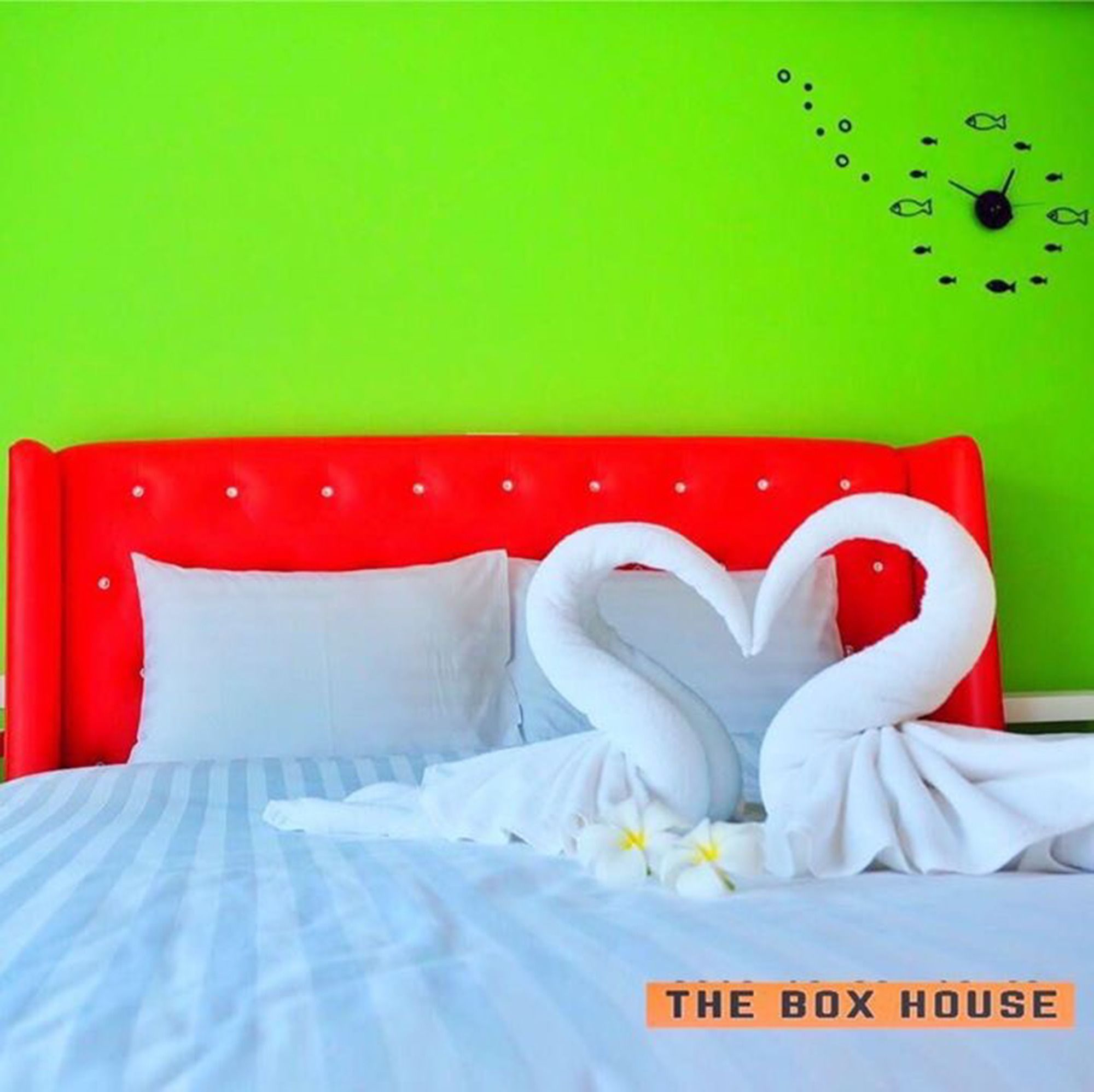 Фото The Box House