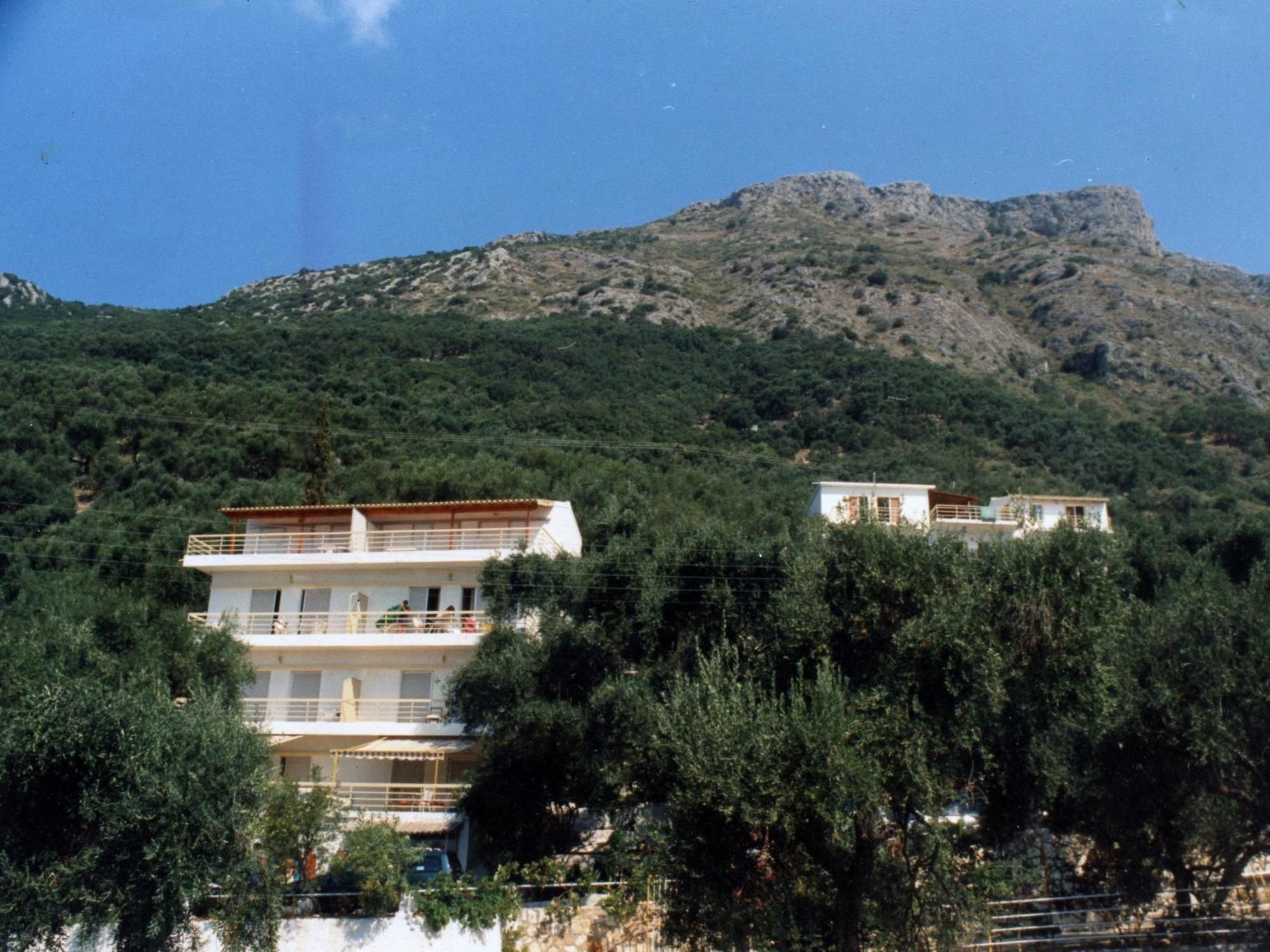 Фото Paradise Apartments