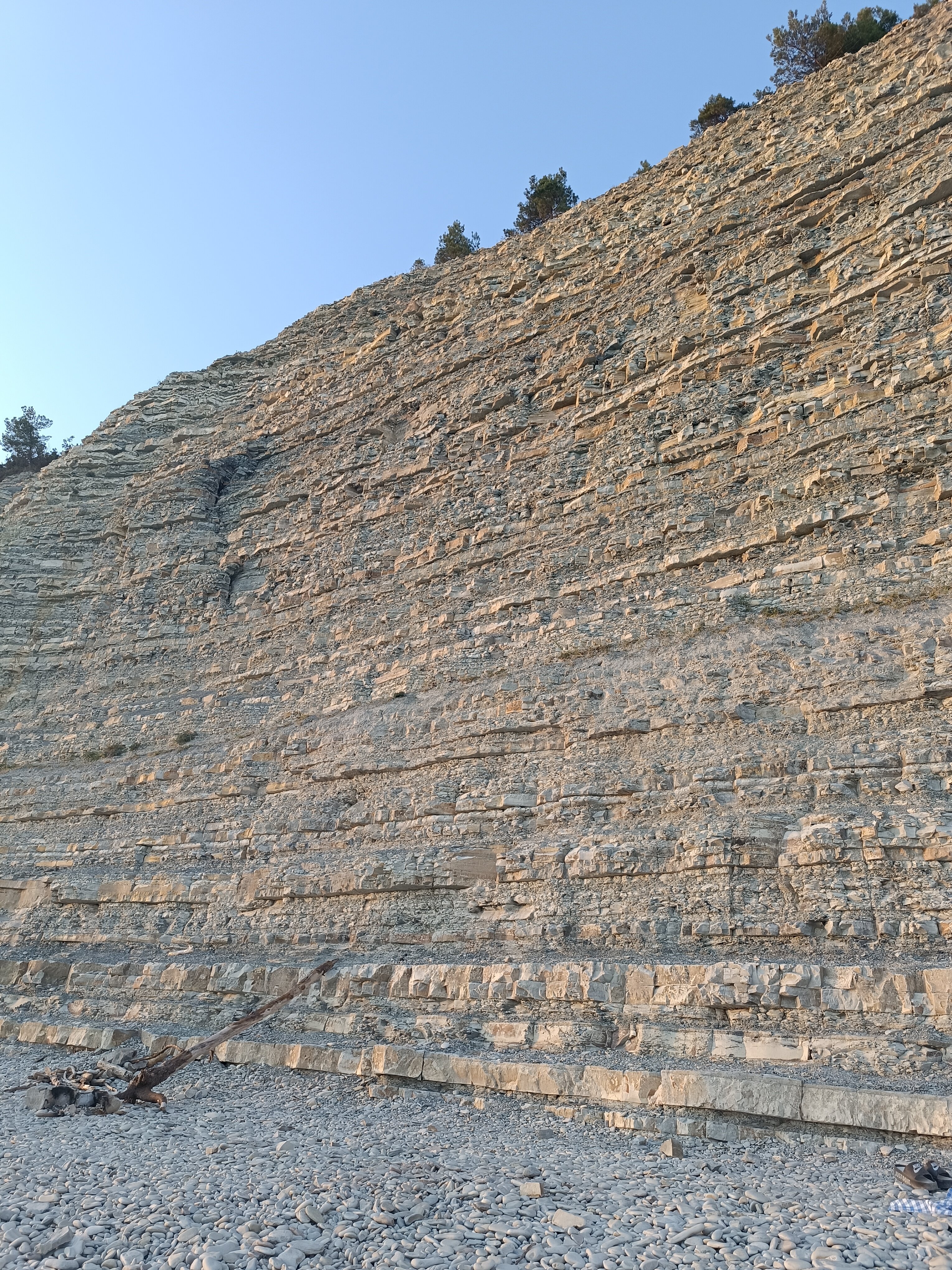 Фото Сосновка