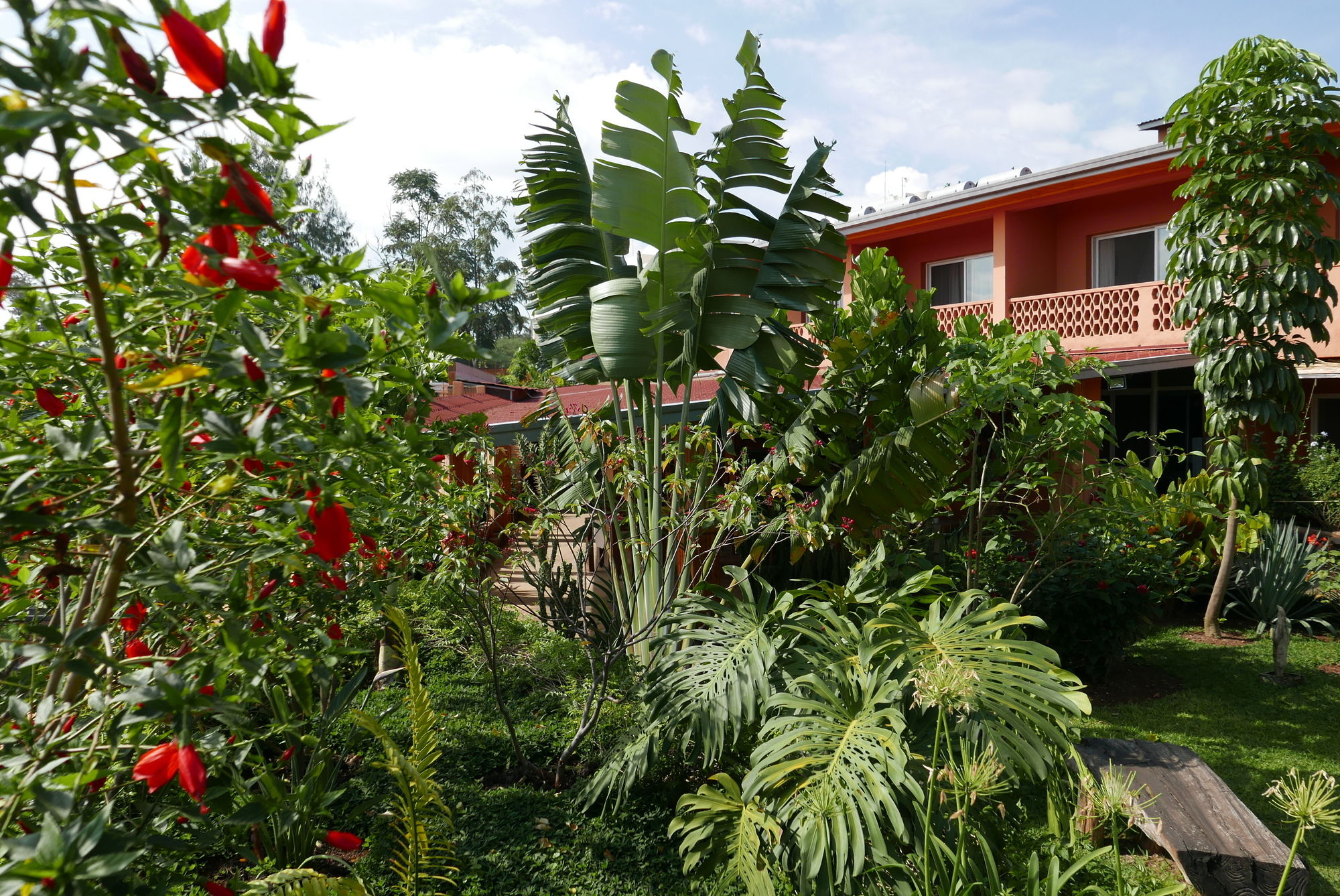 Фото отеля 4