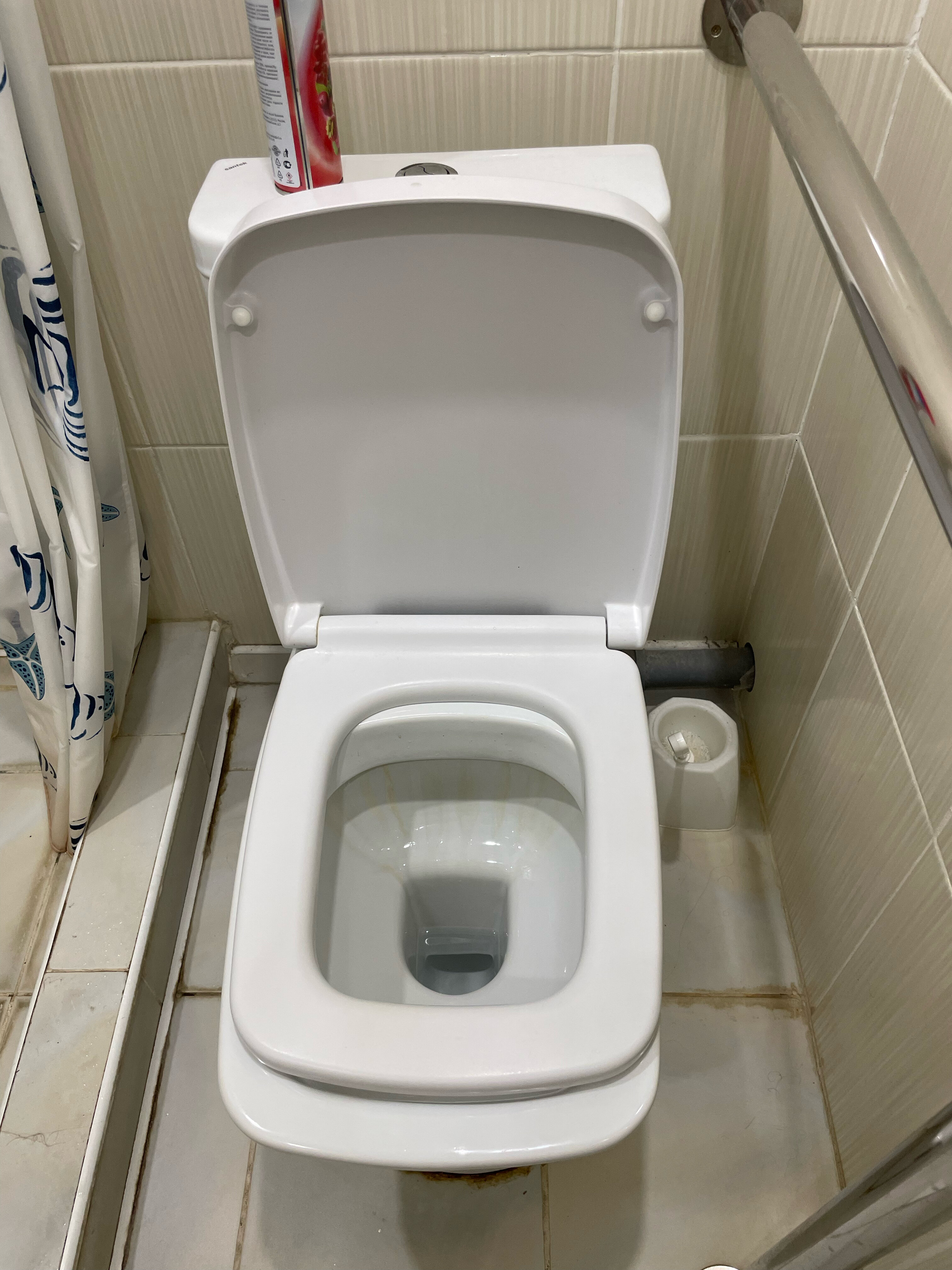 Фото Золотая рыбка