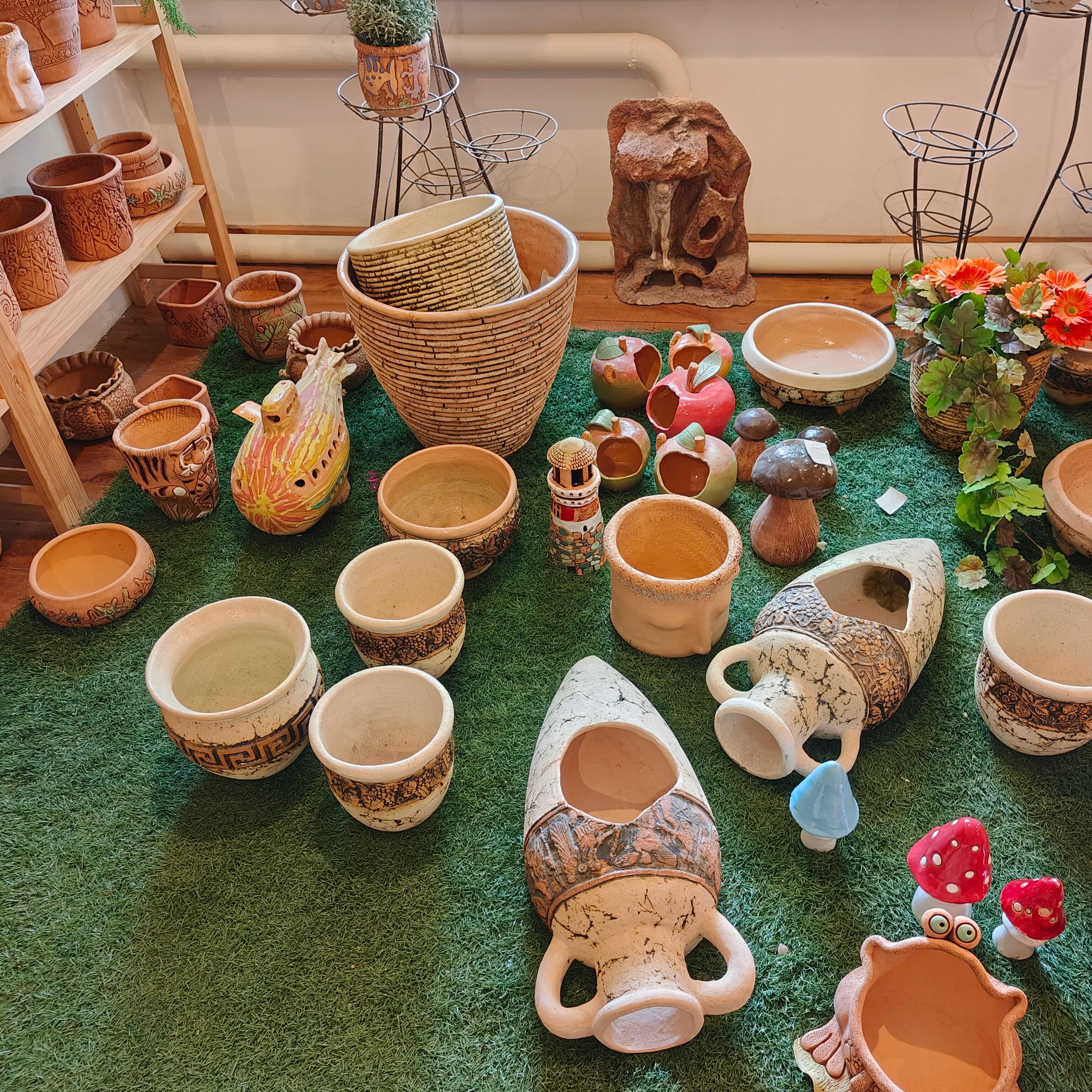 Фото Полынь