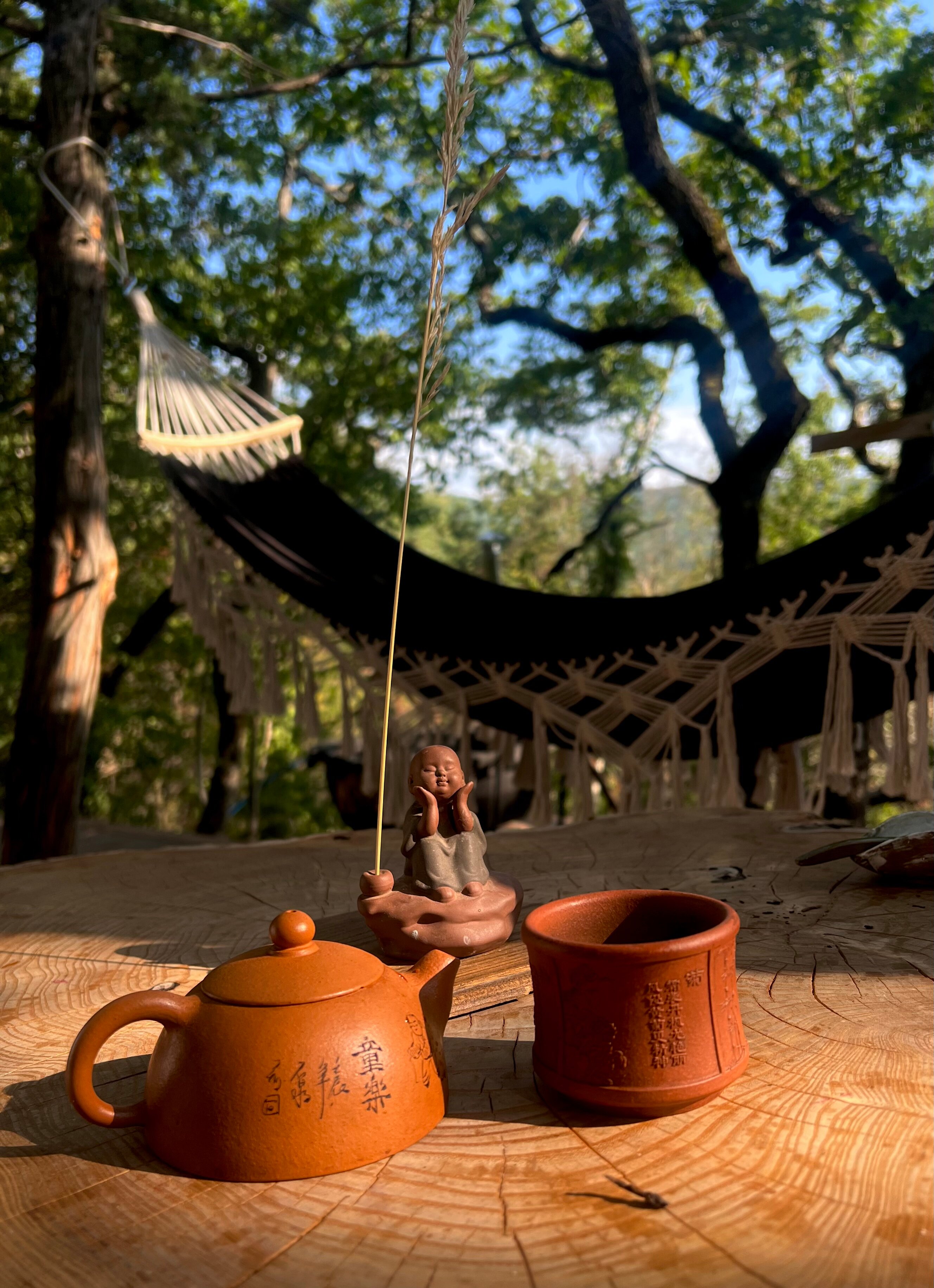 Фото Горный Енот