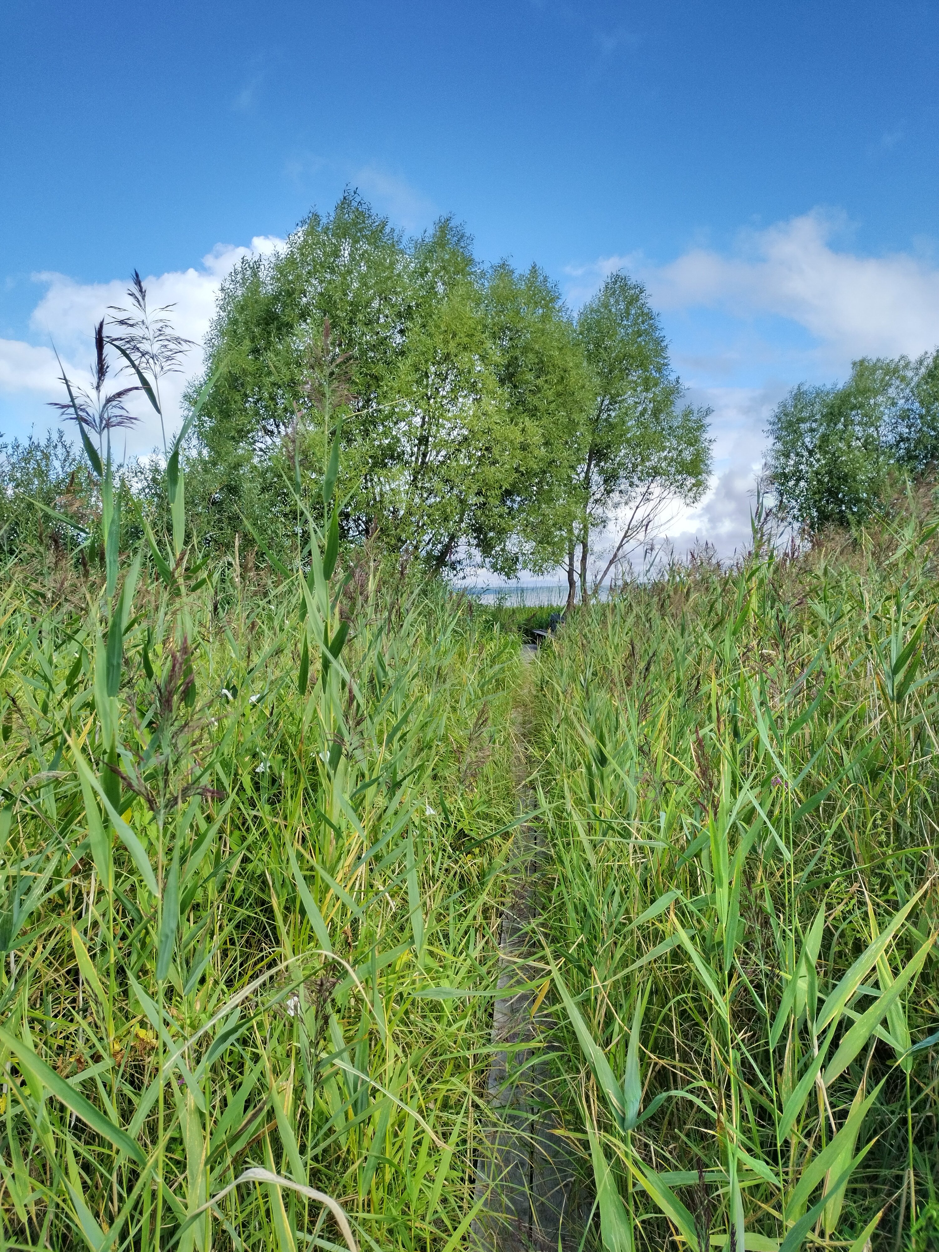 Фото Галерея