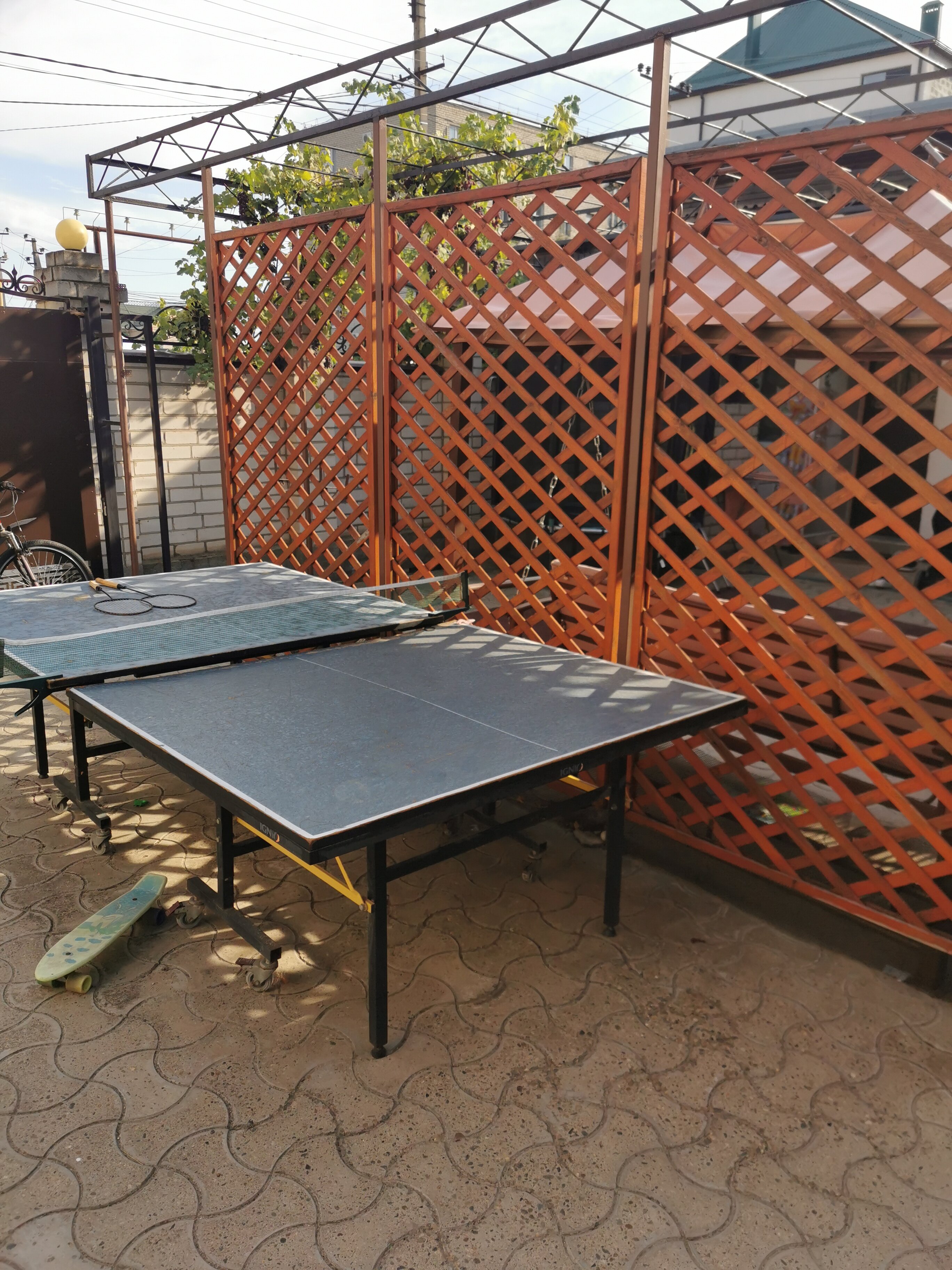 Фото Дельфиния