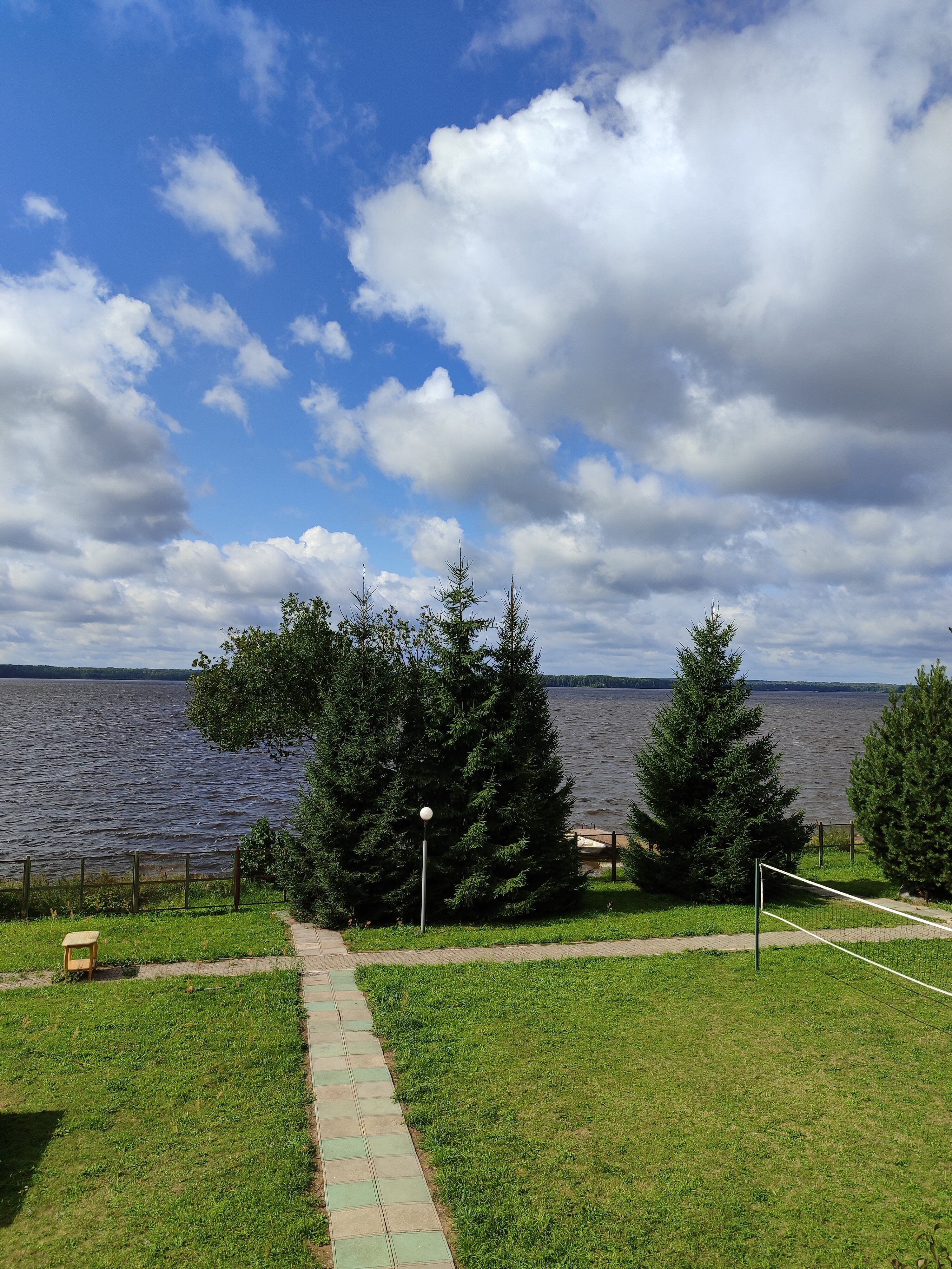 Фото Можжевеловый бор