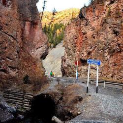 Фото Гостевой дом в Горном Алтае