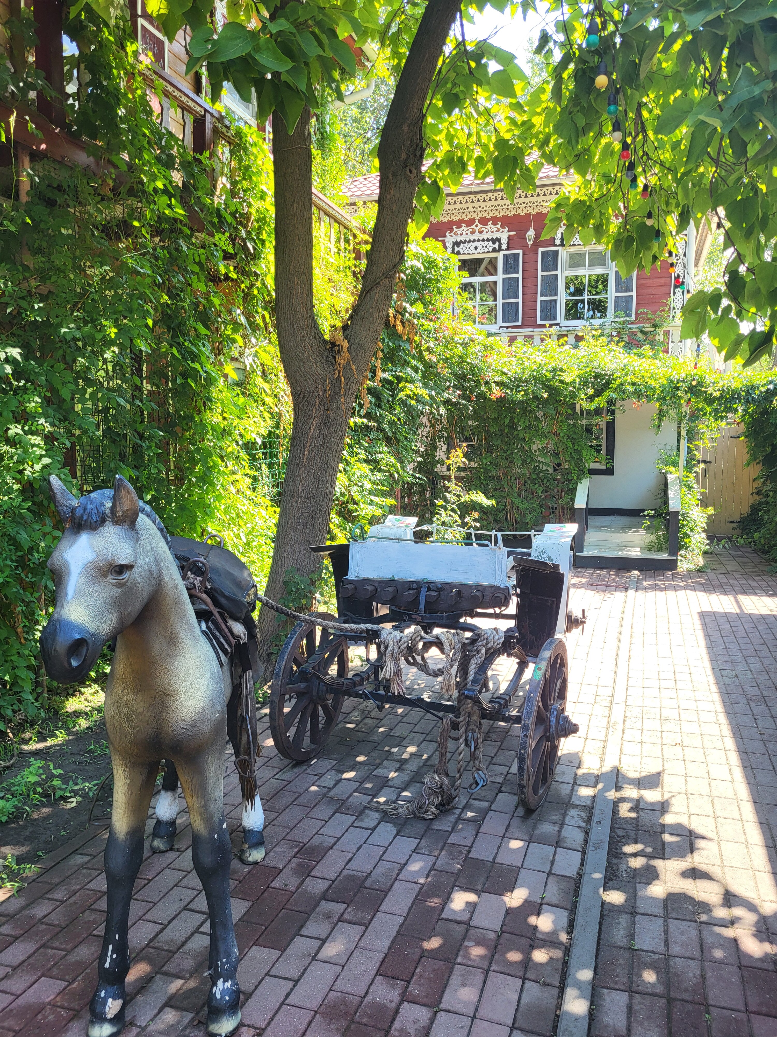 Фото Станица Черкасская