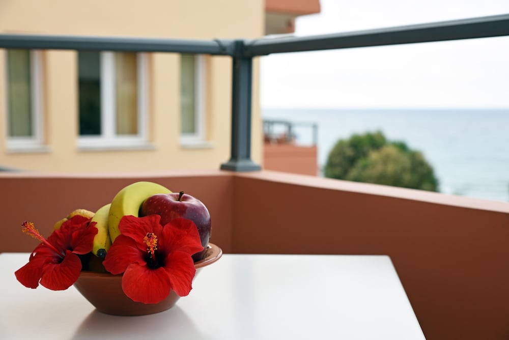 Фото Iolkos Hotel Apartments