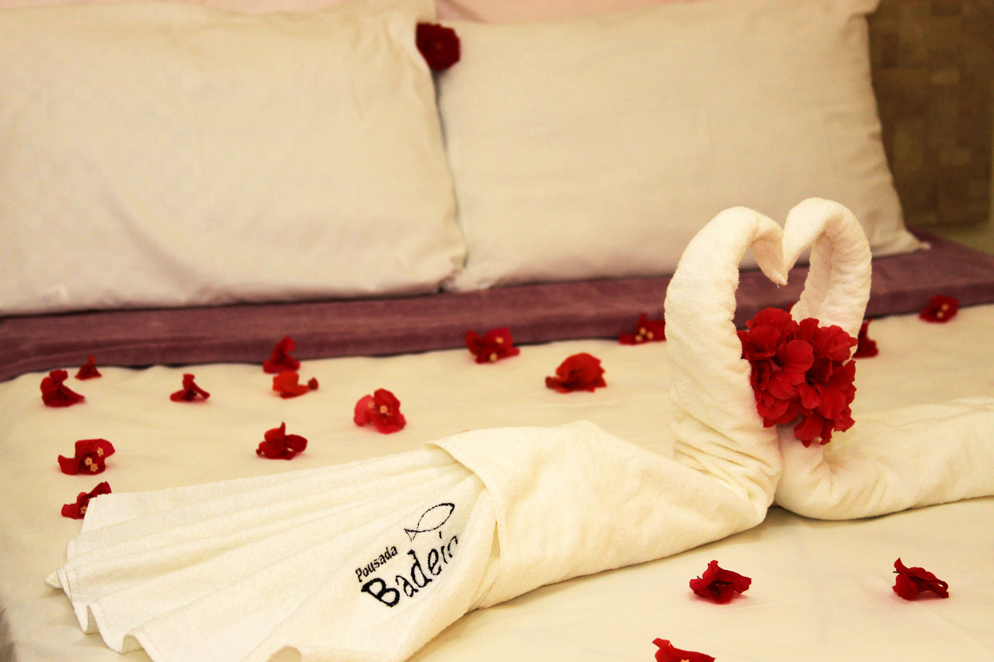 Фото Pousada Badejo