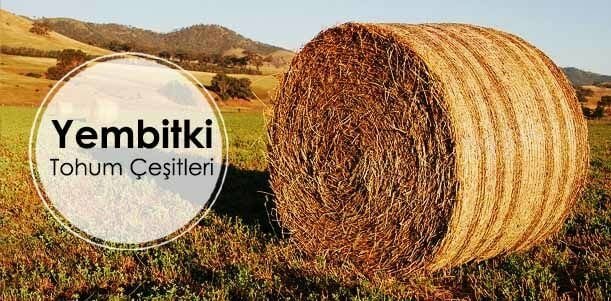 Agricultural goods Agrobat Tarım, Konya, photo