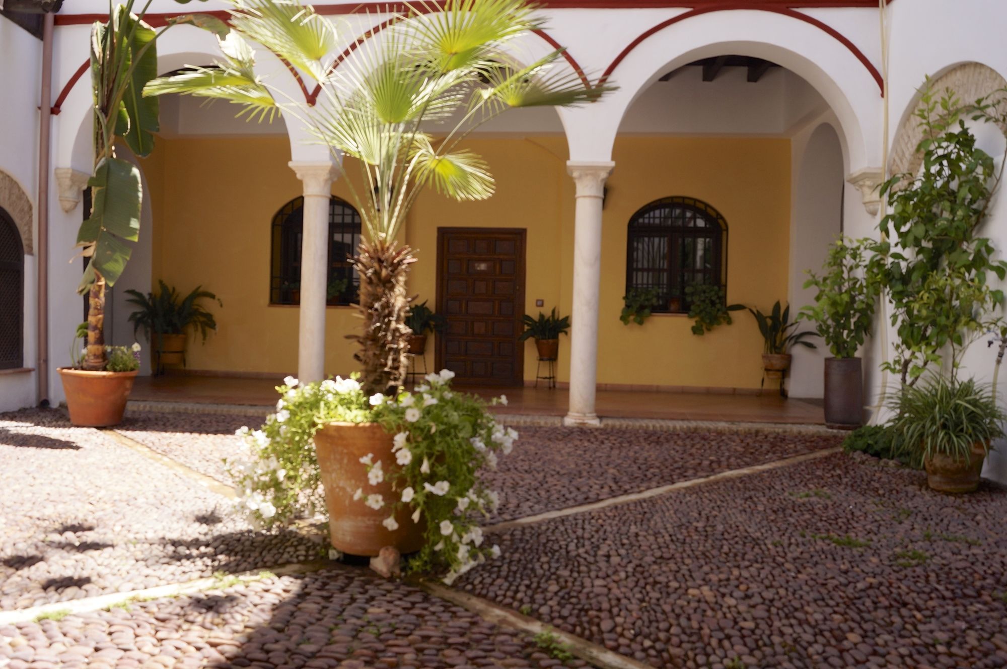 Фото Apartamentos Los Patios de la Juderia