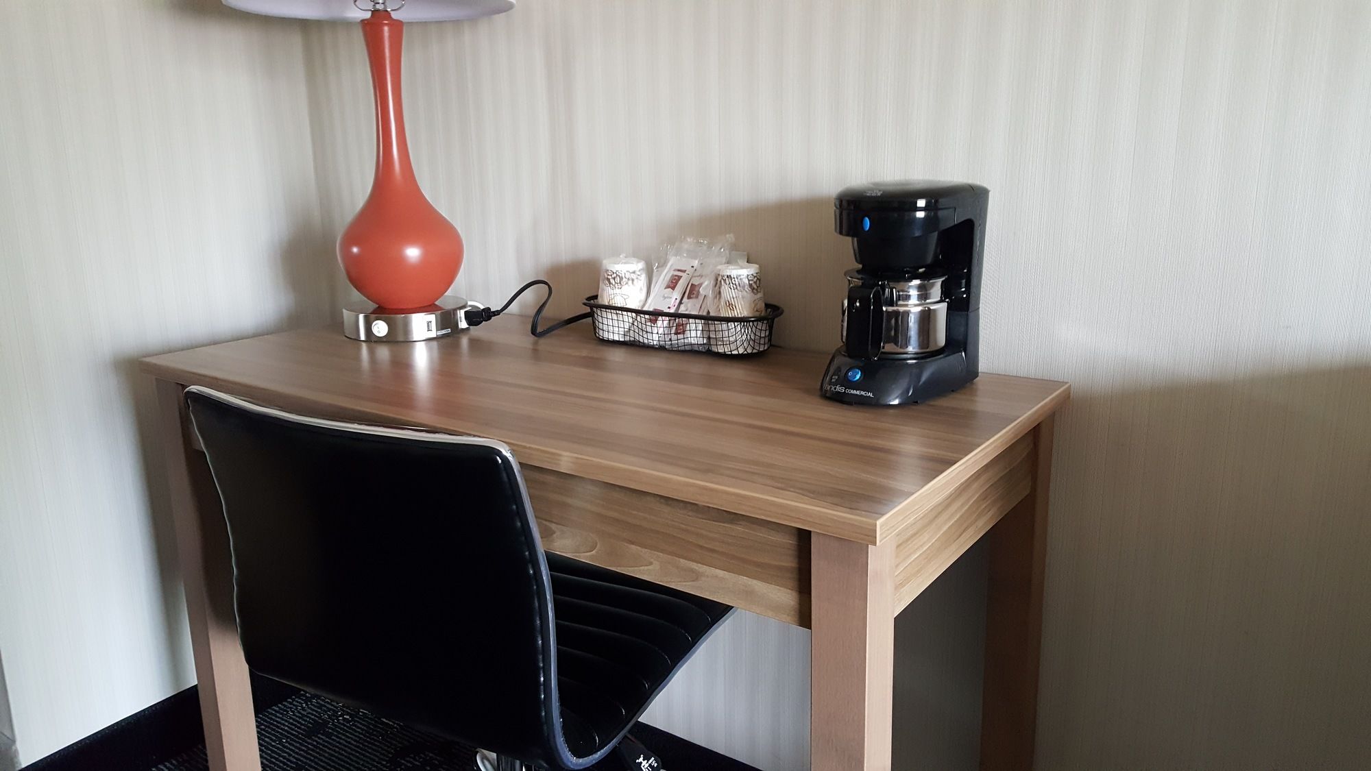 Фото Aartpark Hotel Inn At Lewiston