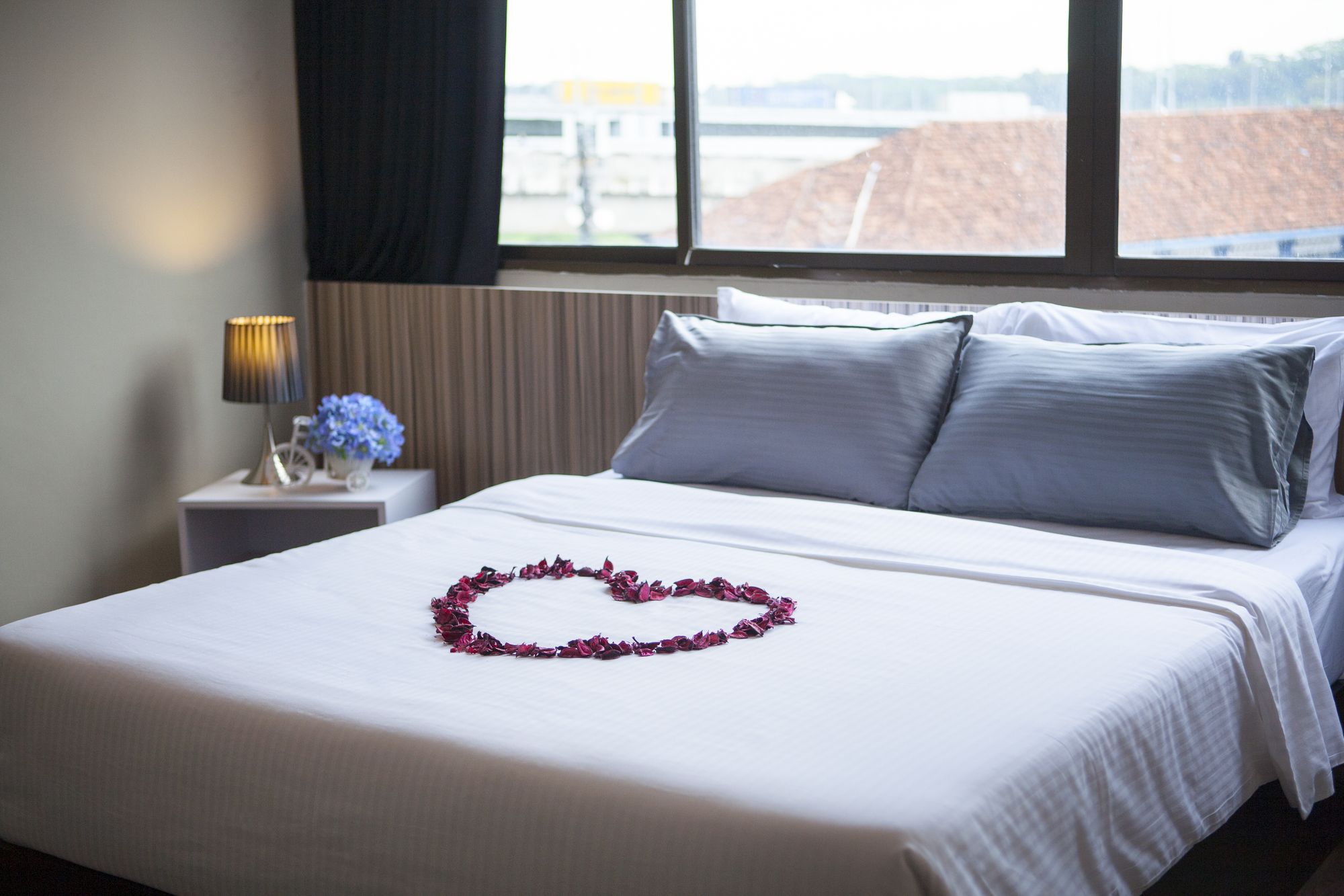 Фото 54971778990