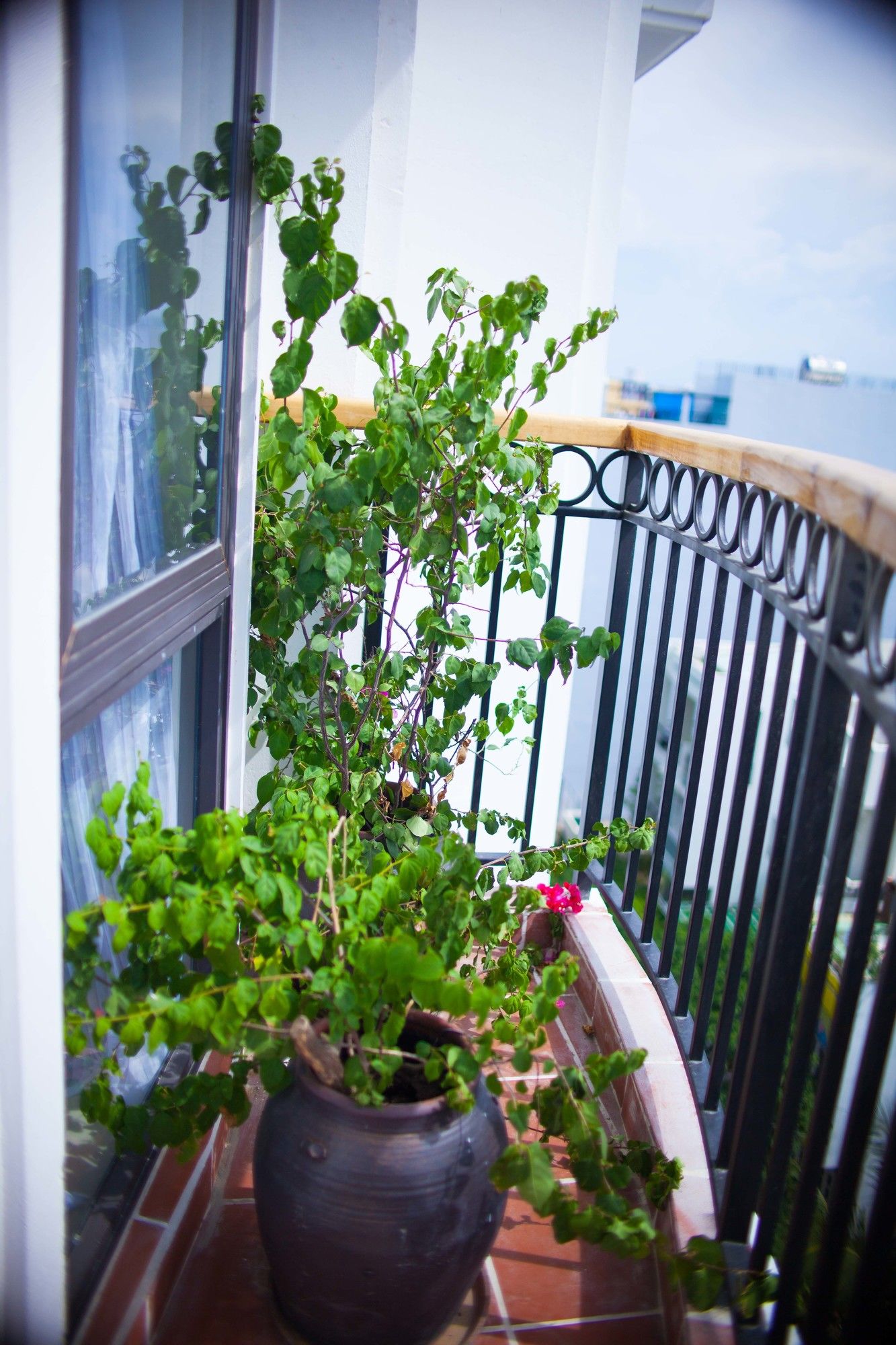 Фото Eco Green Boutique