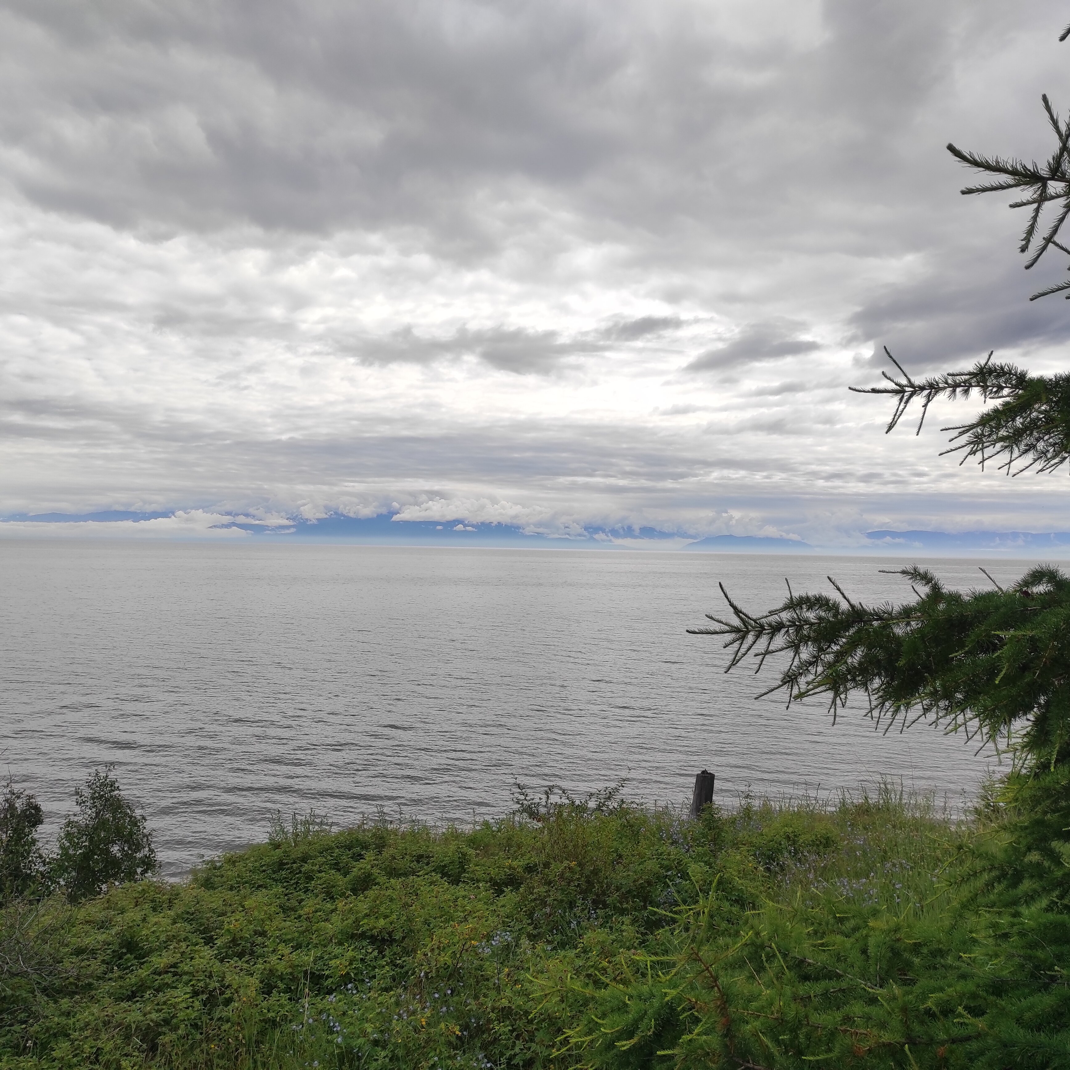 Фото Аврора