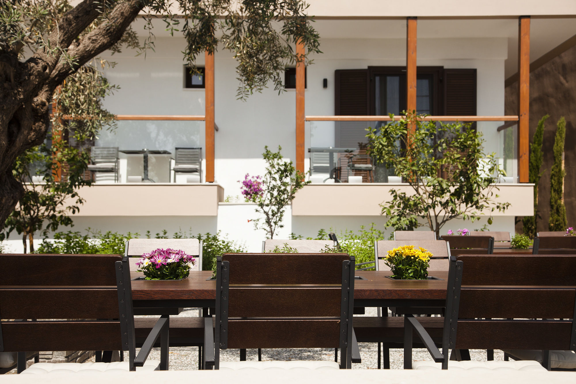 Фото Ayia Marina Suites