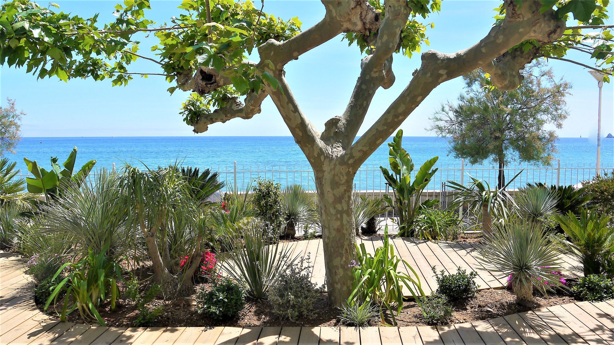 Фото Grand Hotel des Sablettes Plage, Curio Collection by Hilton