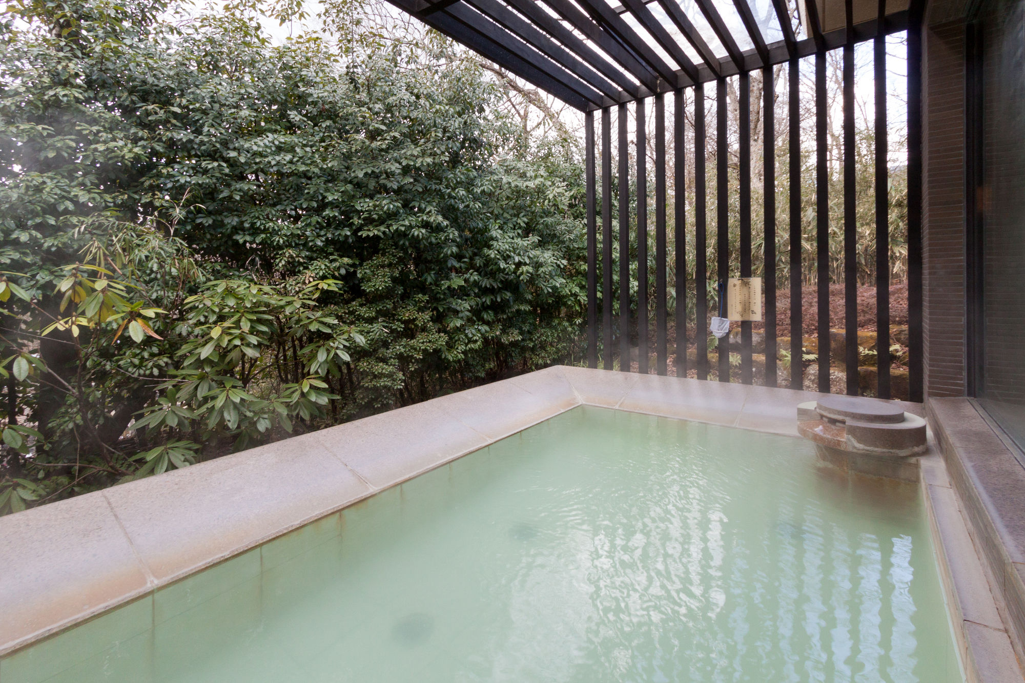 Фото Hakone Highland Hotel