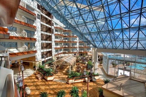 Внешний вид отеля DoubleTree by Hilton Orlando Airport в Орландо, фото 5