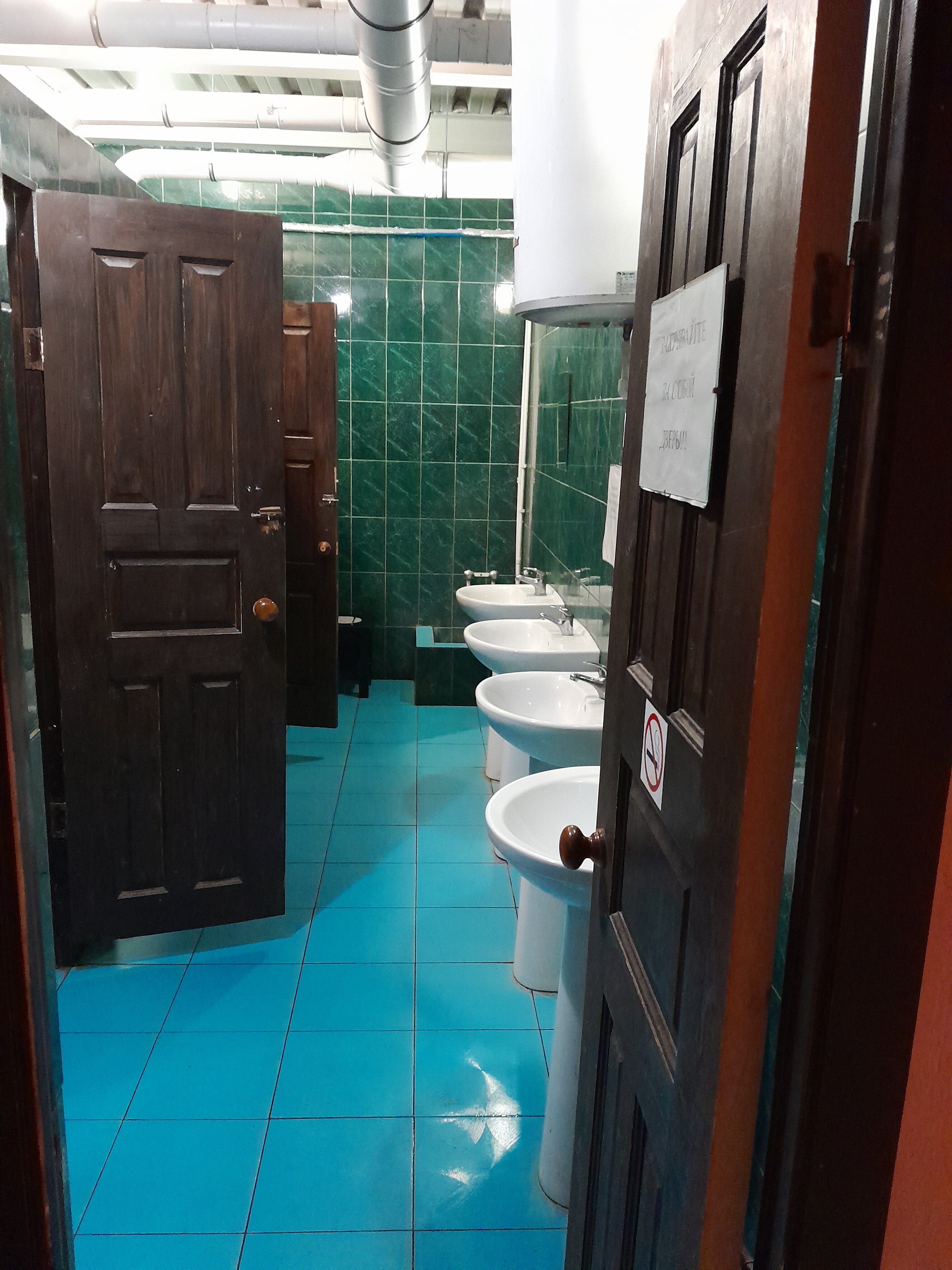 Фото Вежливый Лось на Ботаническом саду