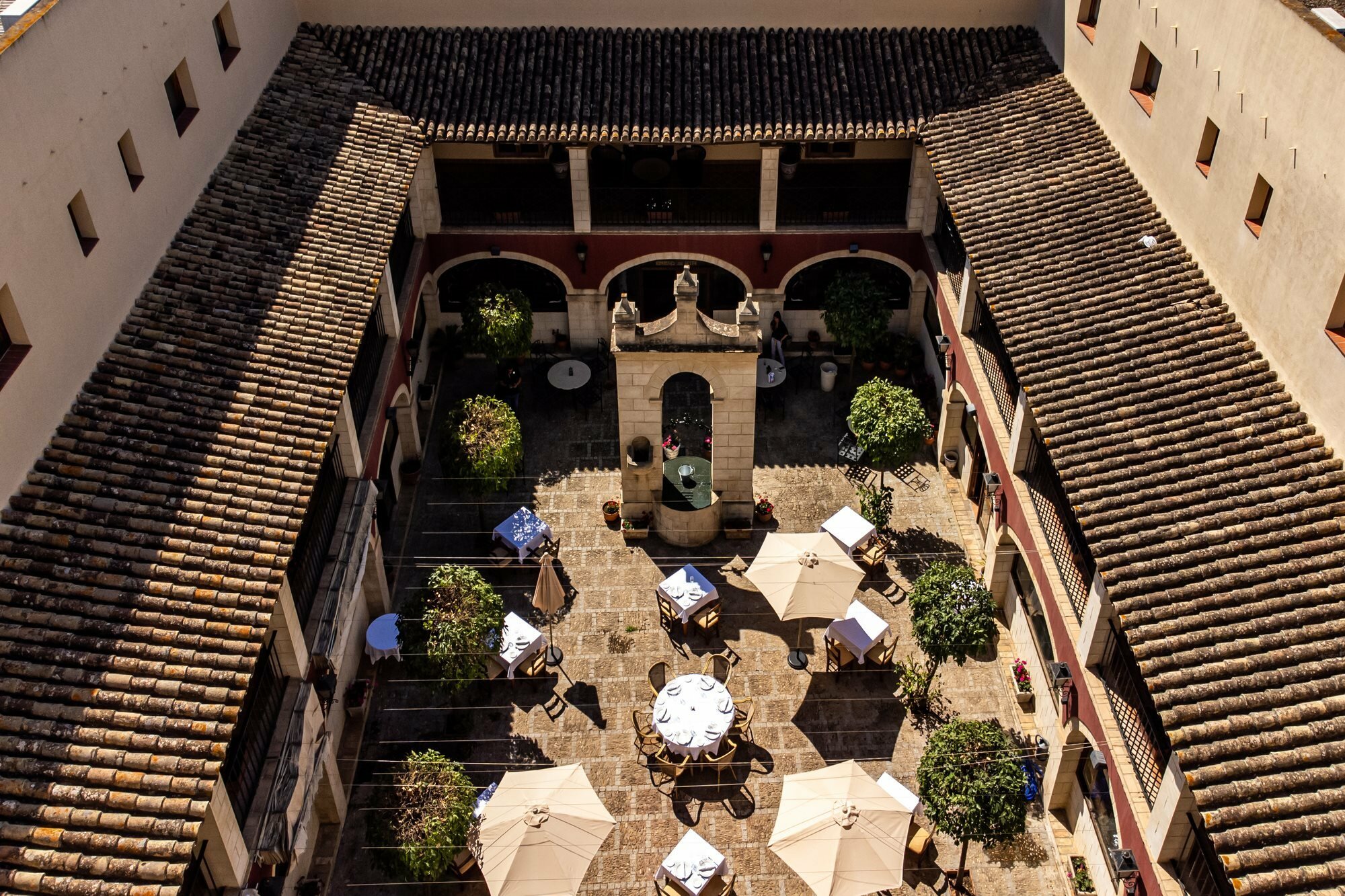 Фото Hotel Alegria Bodega Real