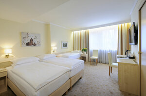 Гостиница Hotel Scherer