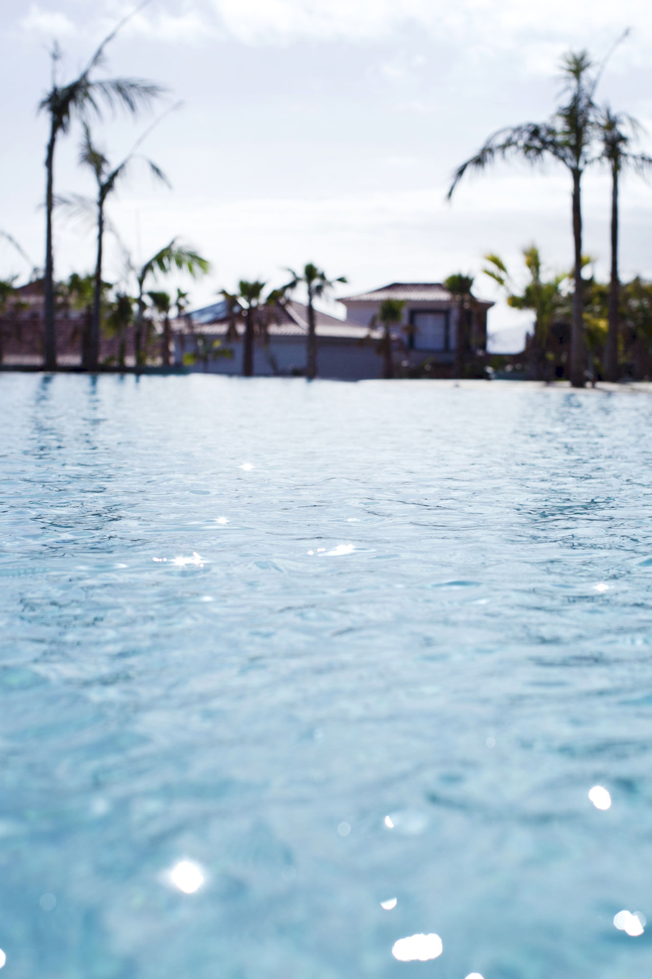 Фото Dreams Madeira Resort SPA & Marina