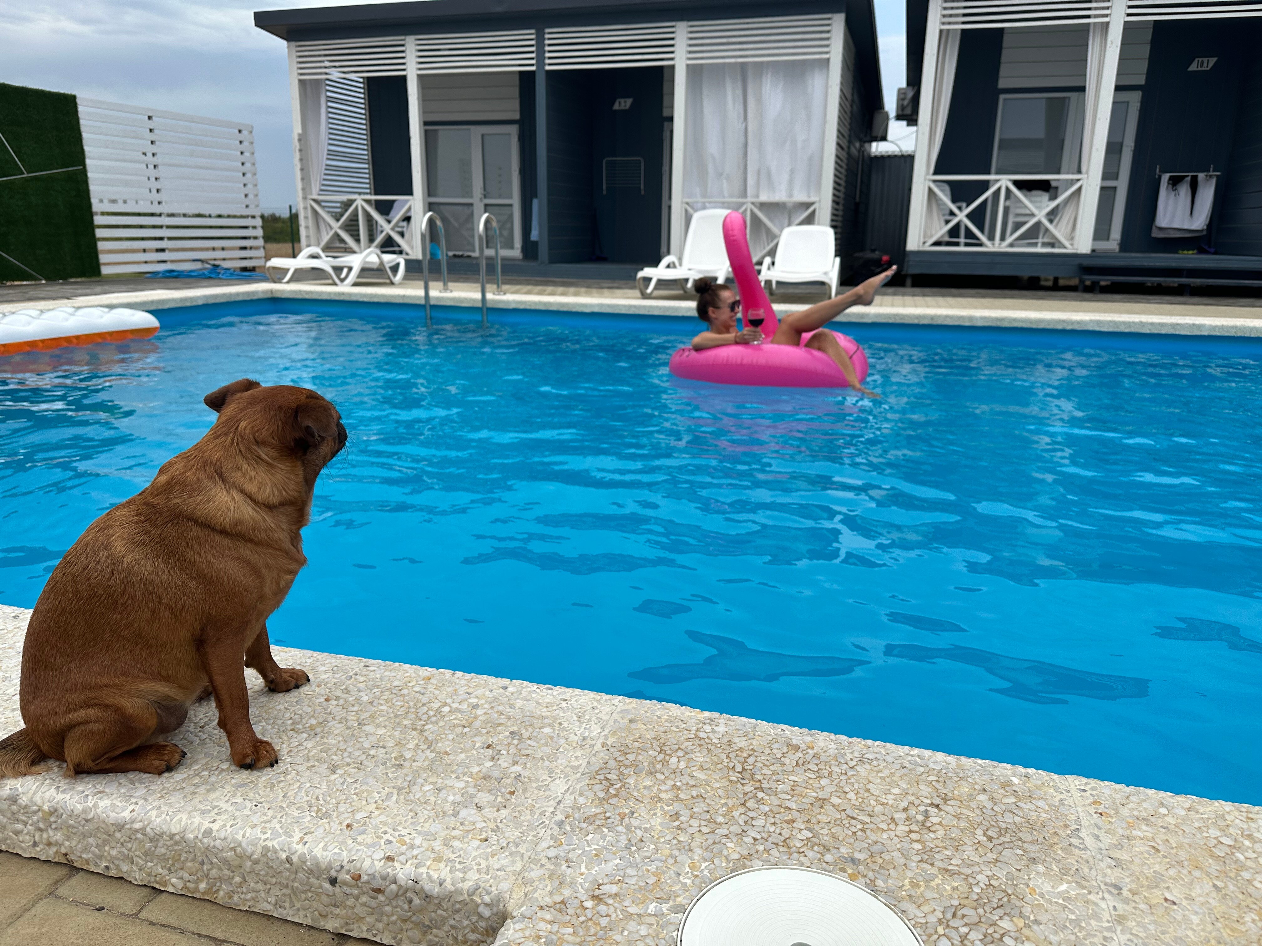 Фото Заморем