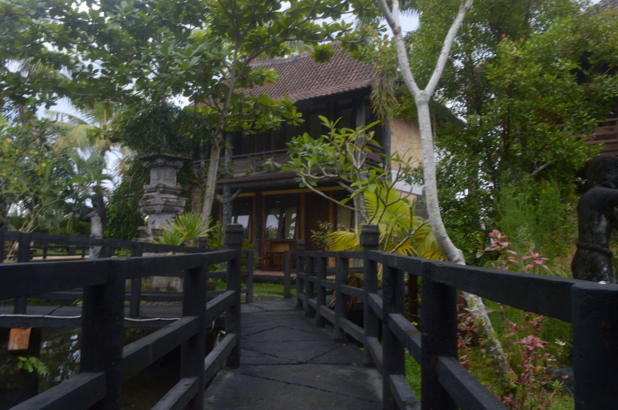 Фото Kangkung Cottages