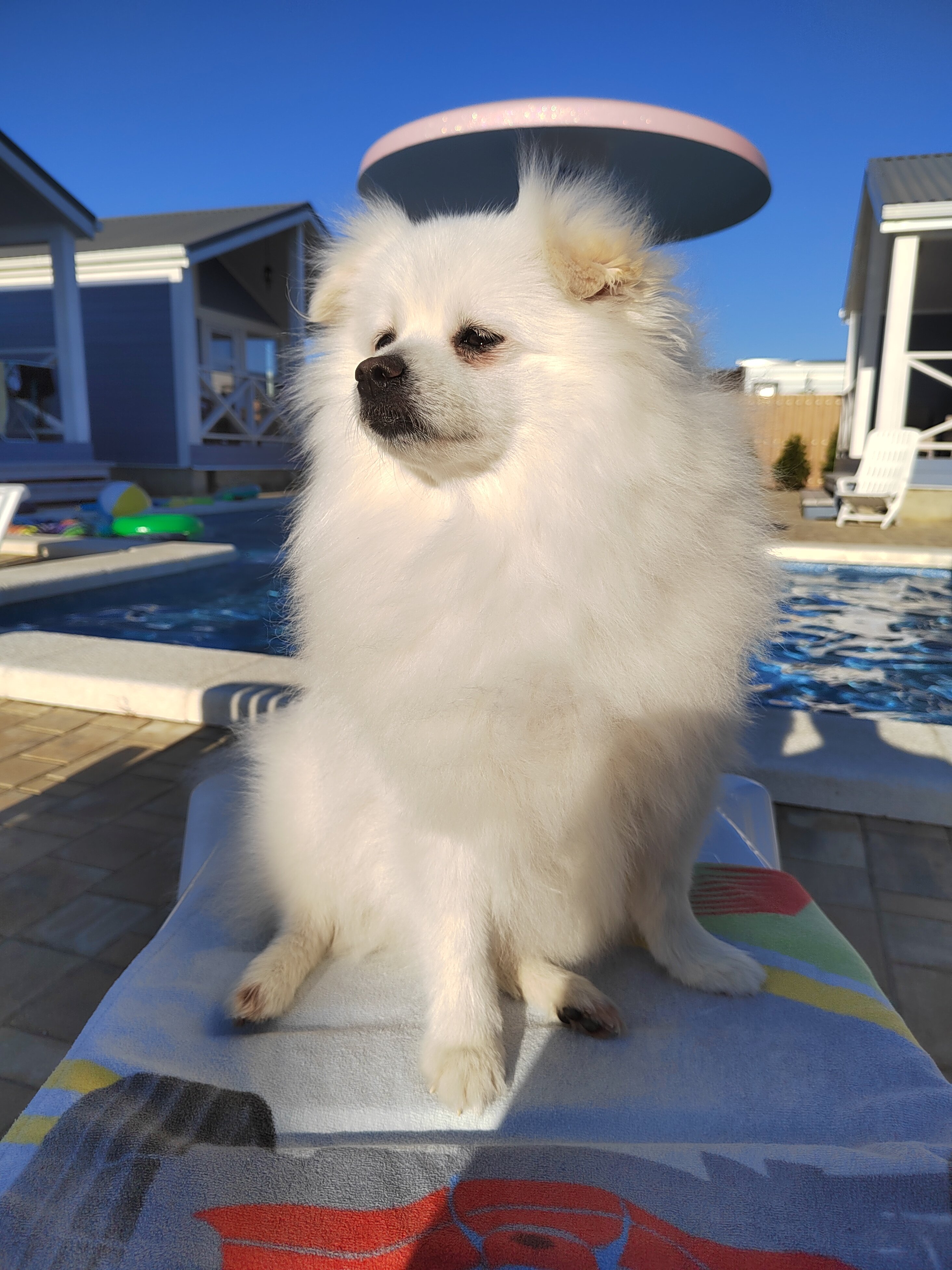 Фото Вилла Blue Waves