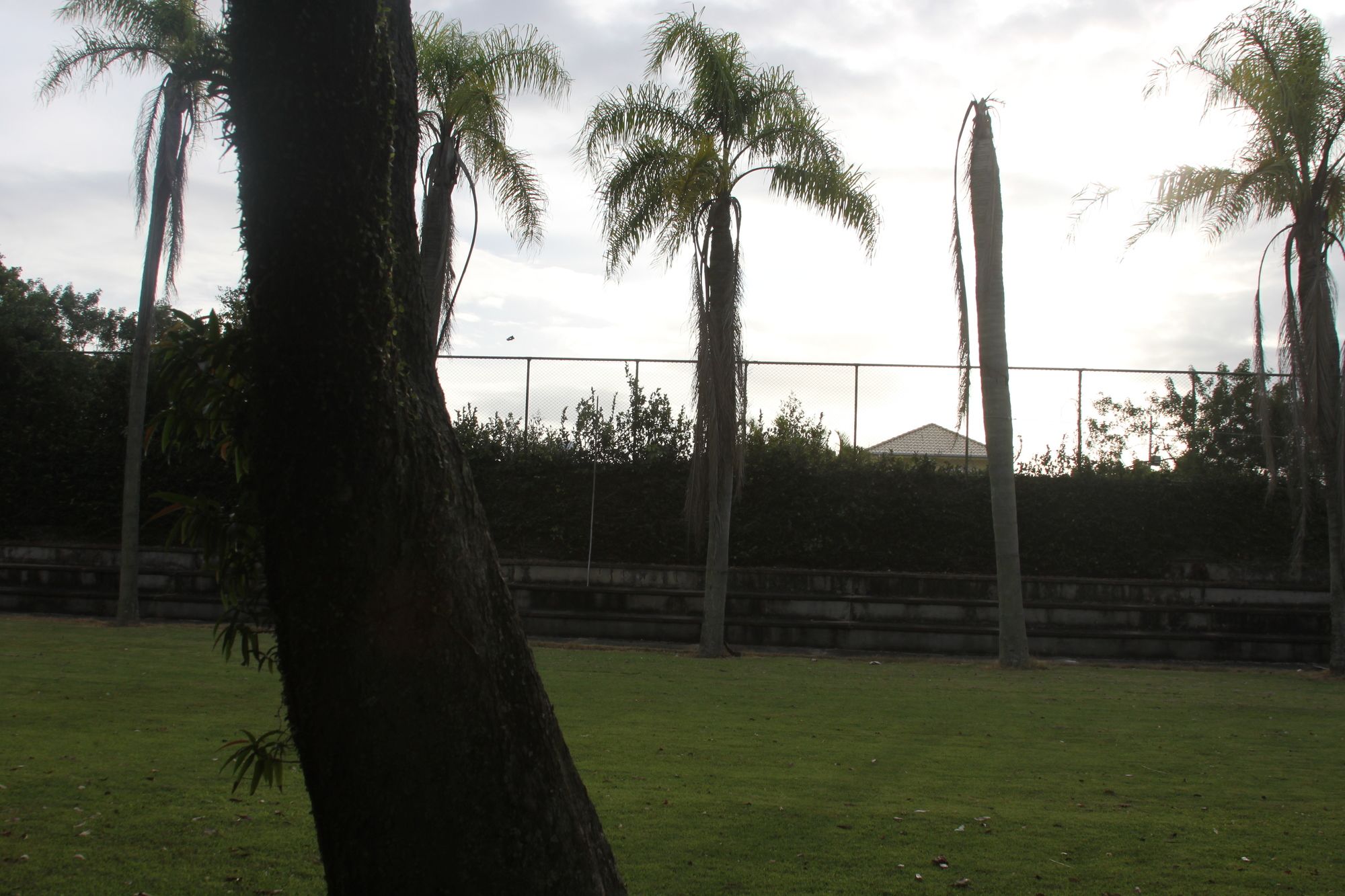 Фото Brisamar Suite Hotel